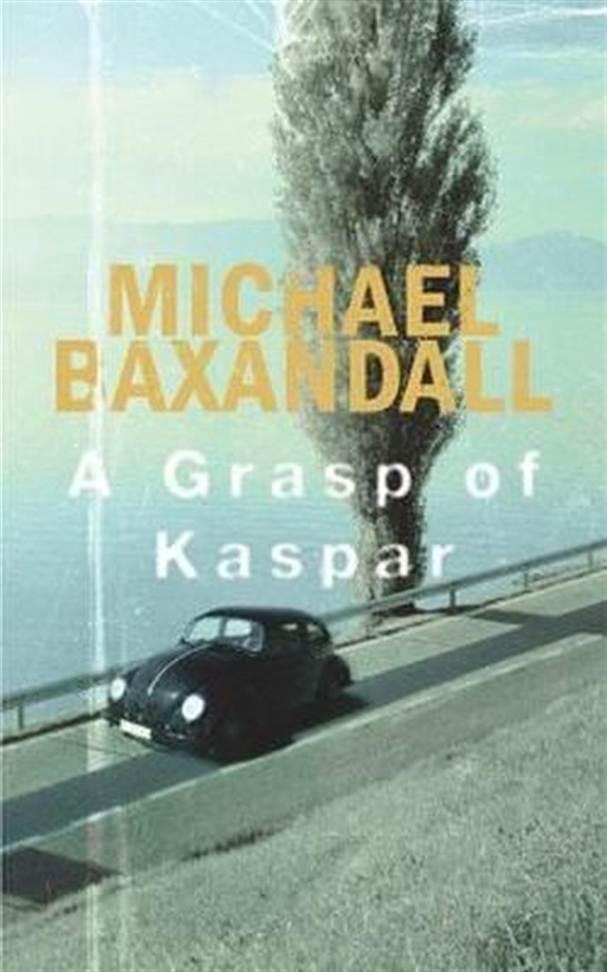 Michael BaxandallPhilosophy FictionA Grasp of Kaspar