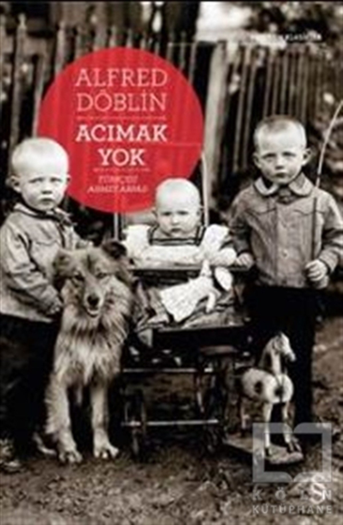 Alfred DöblinRomanAcımak Yok