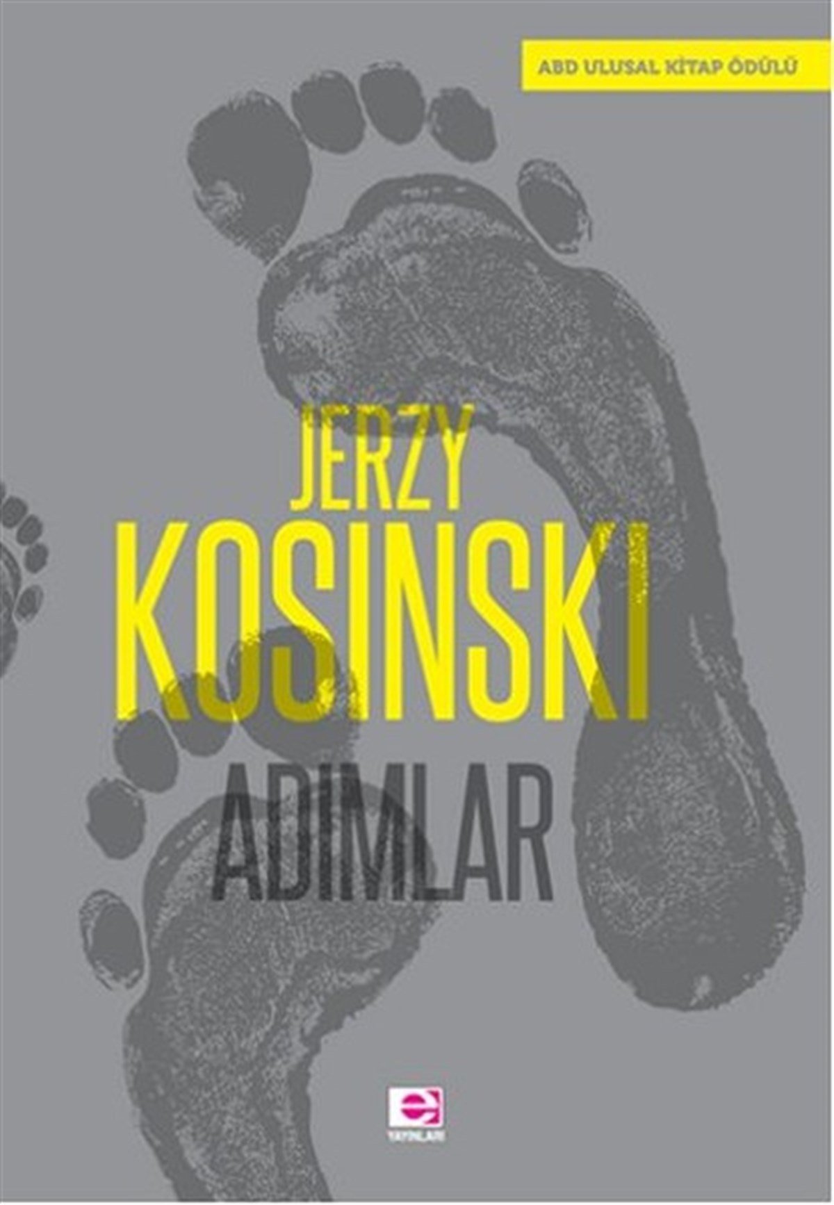 Hasan AslanDünya RomanAdımlar