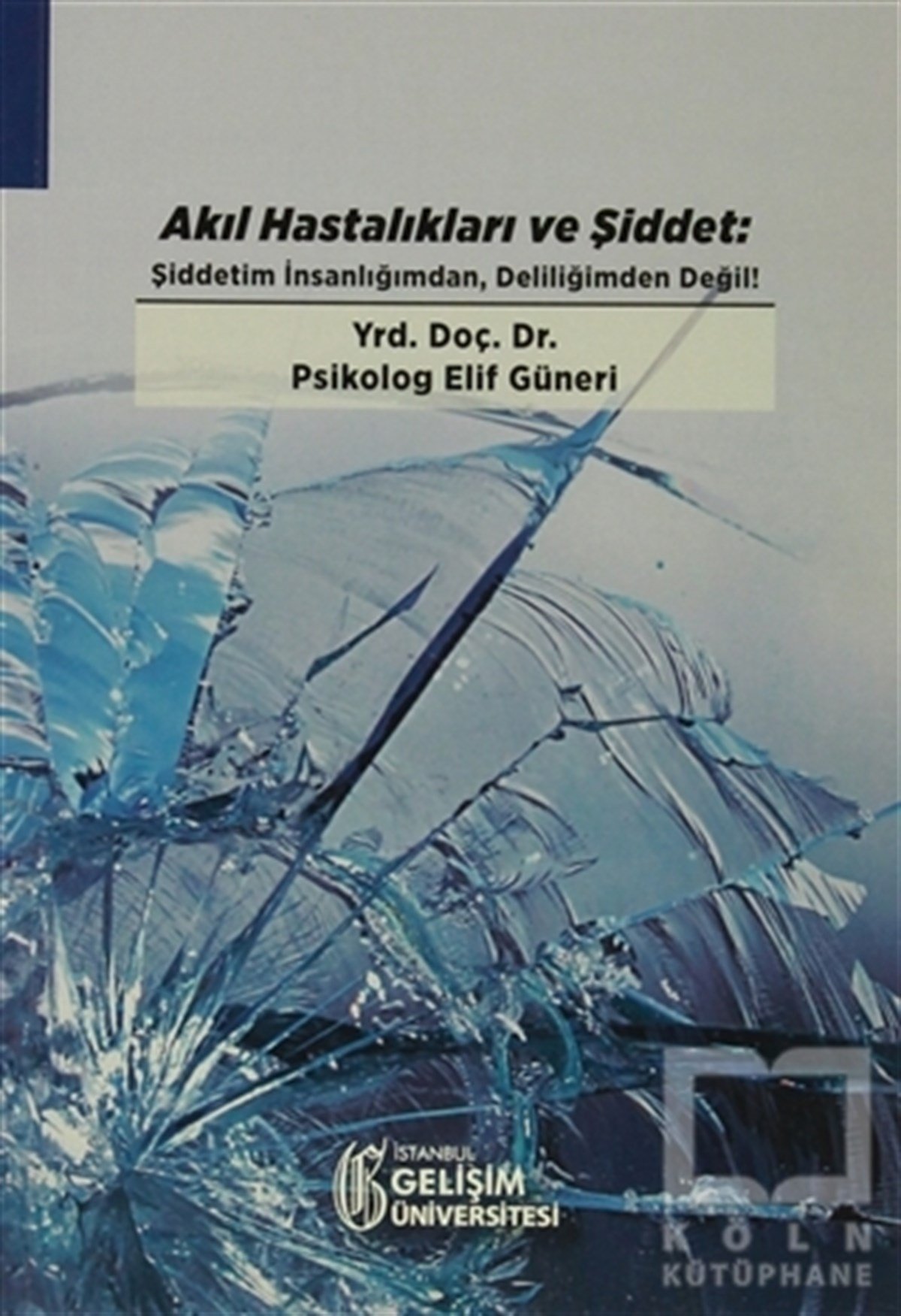 Elif GüneriEkoller ve YaklaşımlarAkıl Hastalıkları ve Şiddet