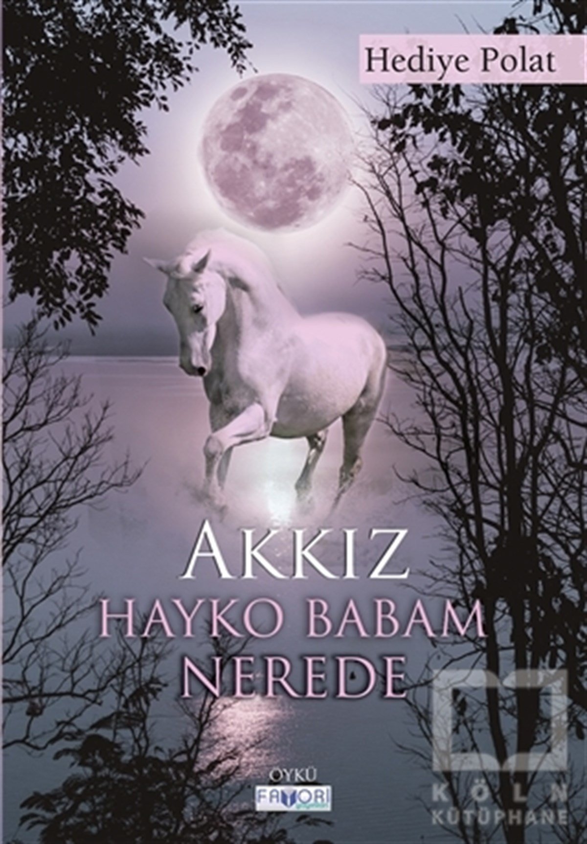 Hediye PolatÖyküAkkız - Hayko Babam Nerede