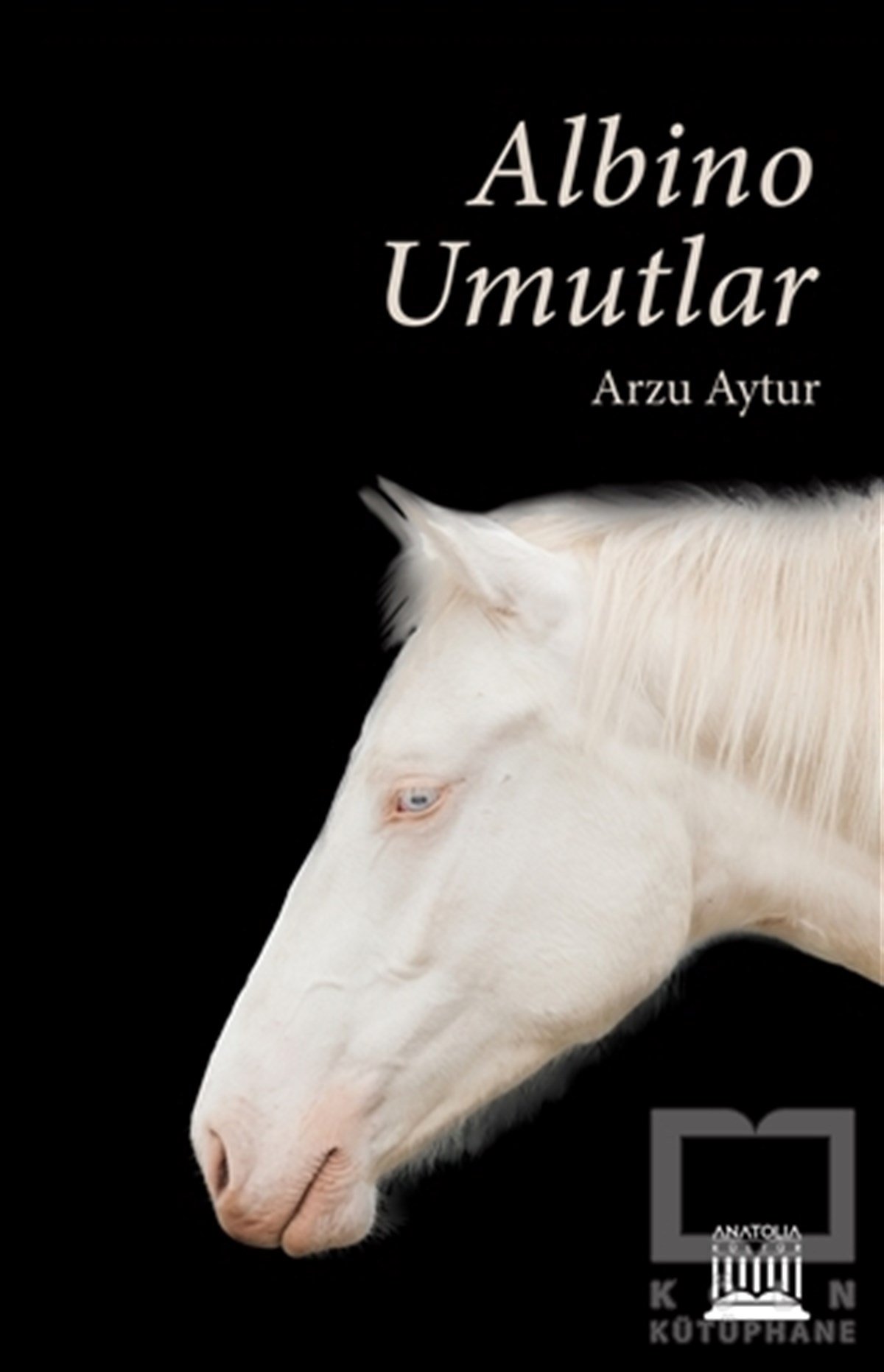 Arzu AyturHikaye (Öykü) KitaplarıAlbino Umutlar