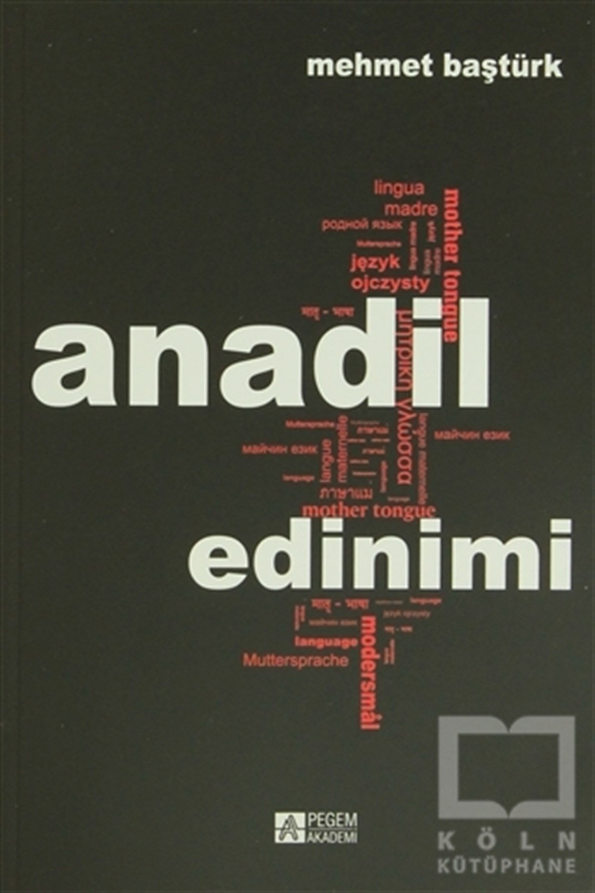 Mehmet ŞentürkAkademikAnadil Edinimi