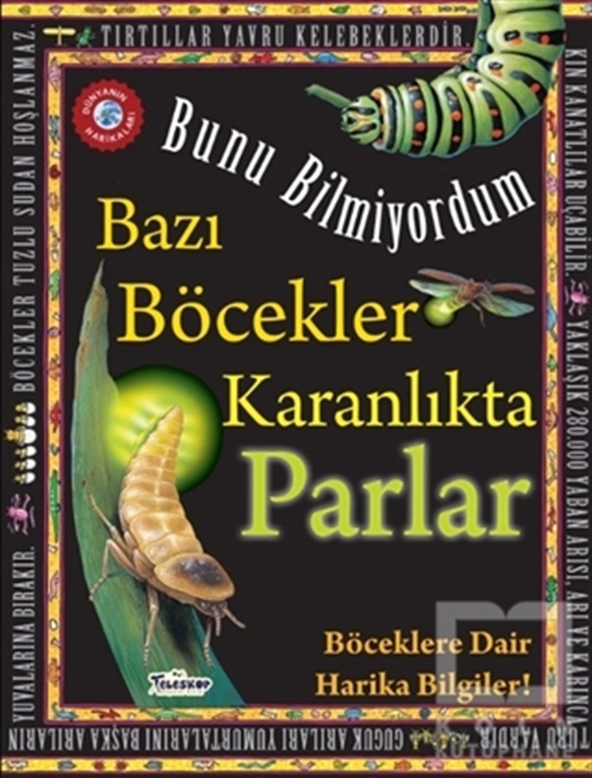Flowerpot PressReferans Çocuk KitaplarıBazı Böcekler Karanlıkta Parlar - Bunu Bilmiyordum