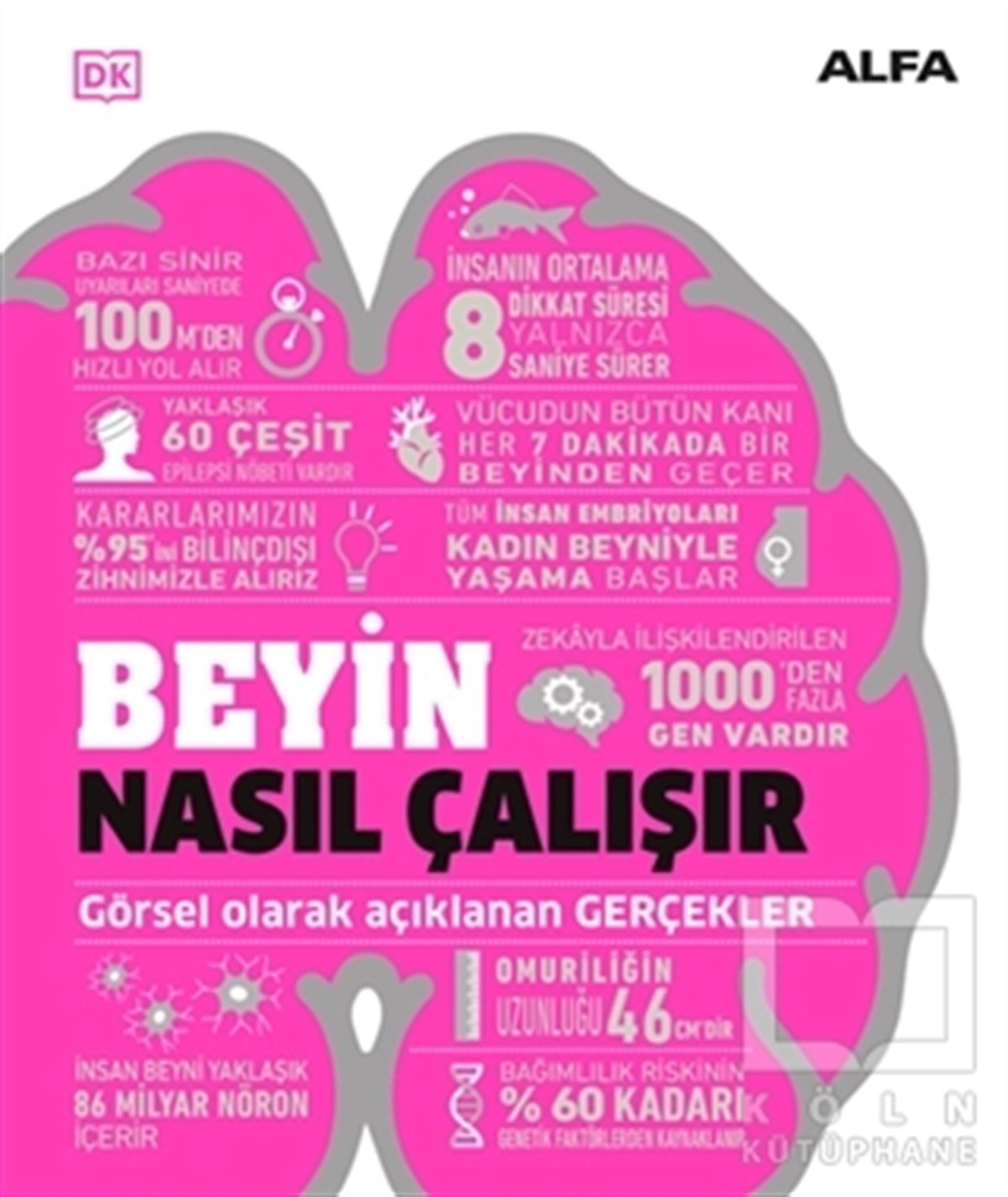 KolektifPopüler Kültür KitaplarıBeyin Nasıl Çalışır
