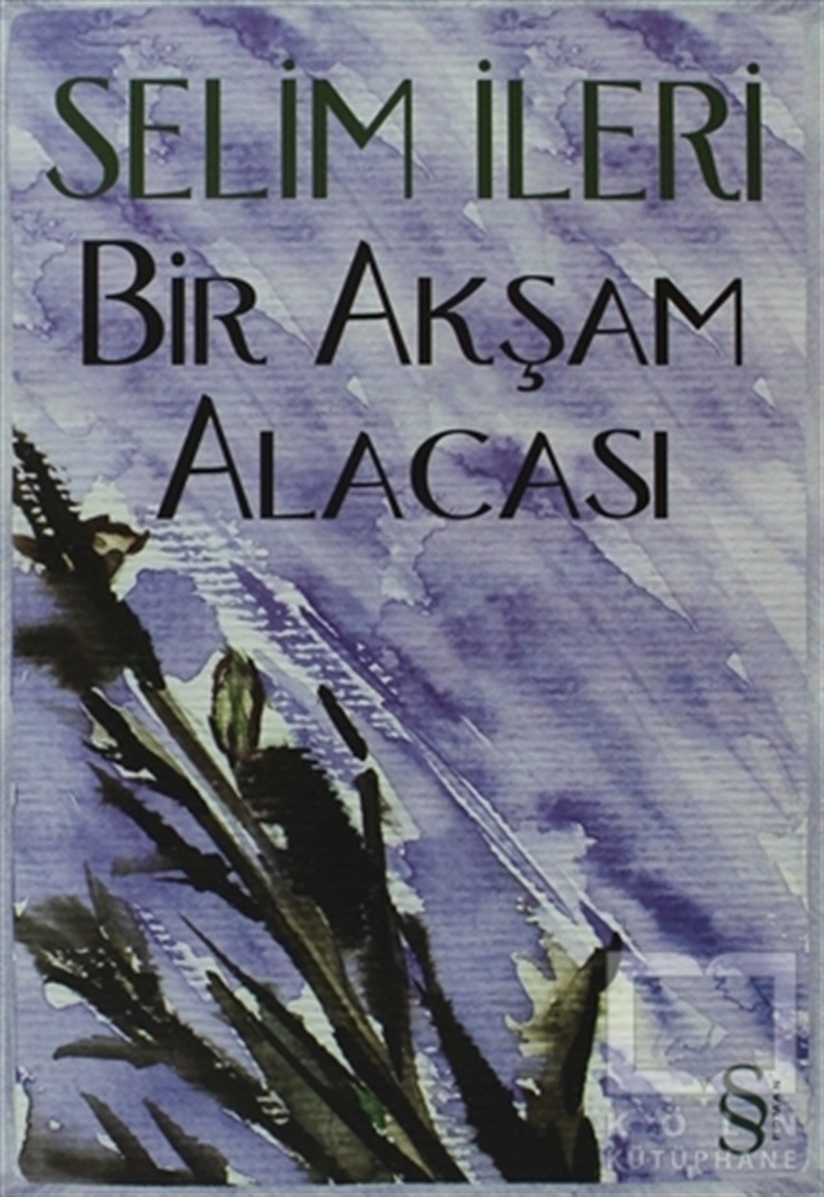 Selim İleriPolitik KurguBir Akşam Alacası