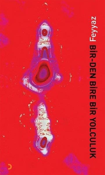 FeyyazTürk ŞiiriBir - Den Bire Bir Yolculuk