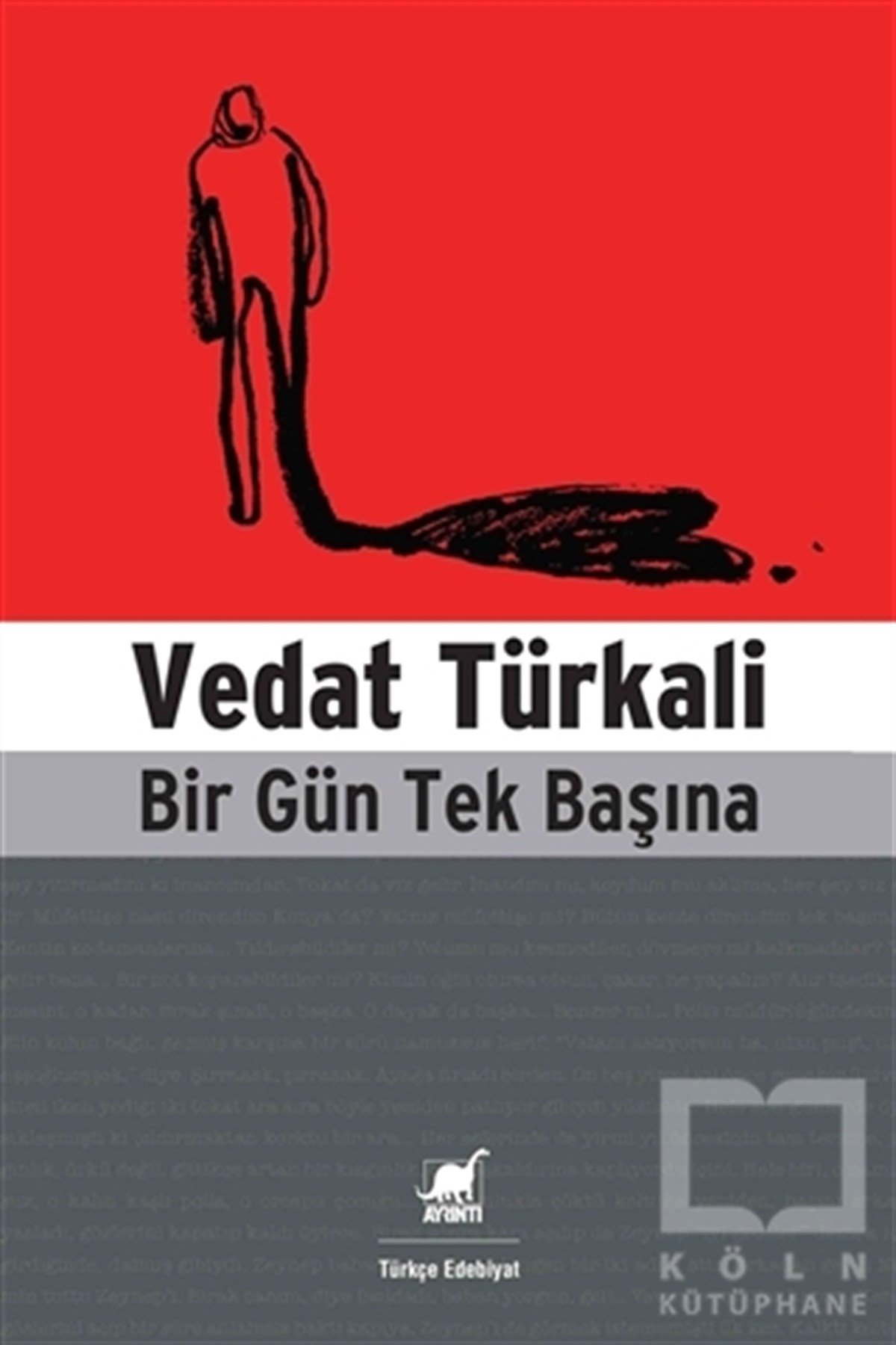 Vedat TürkaliRomanBir Gün Tek Başına