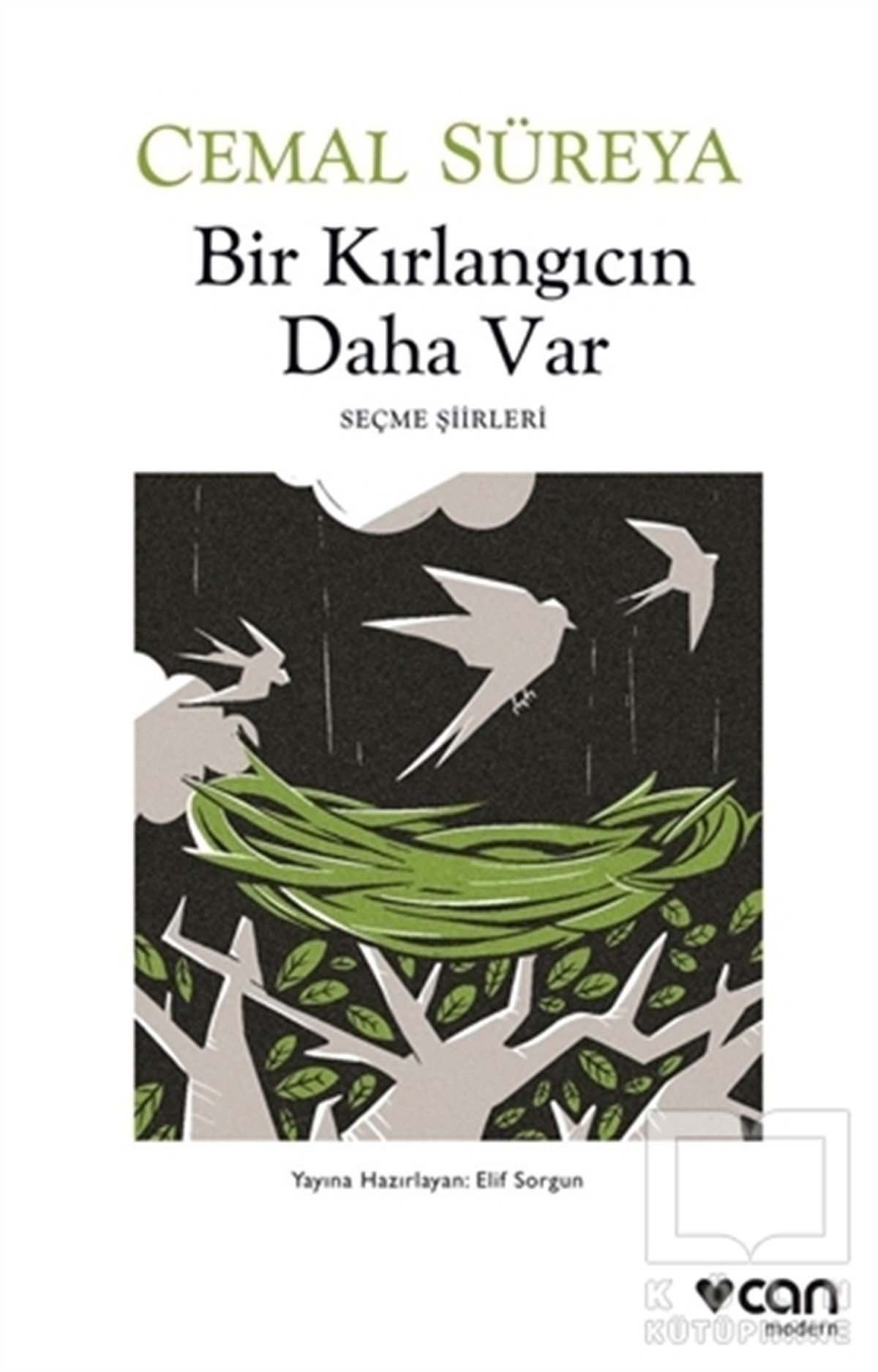 Cemal SüreyaTürkçe Şiir KitaplarıBir Kırlangıcın Daha Var