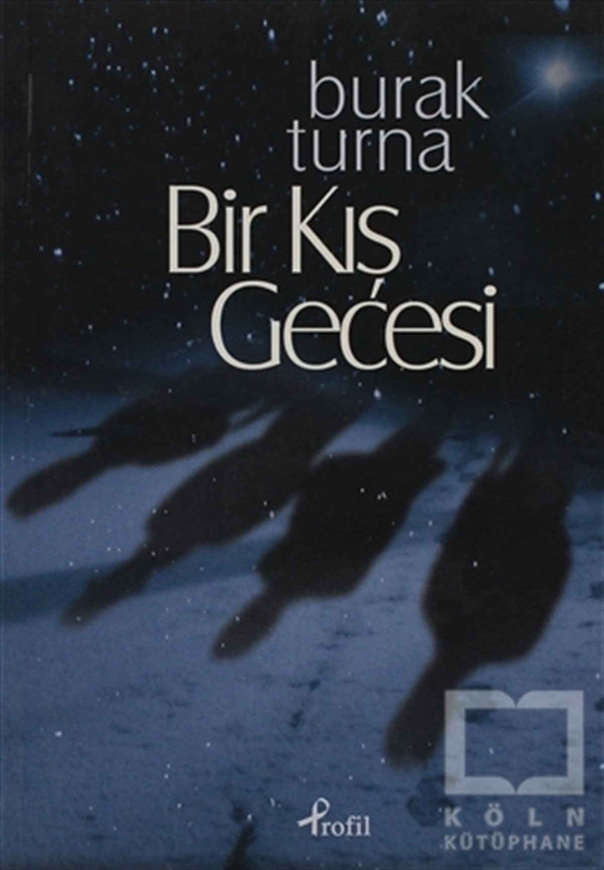 Burak TurnaTürk EdebiyatıBir Kış Gecesi
