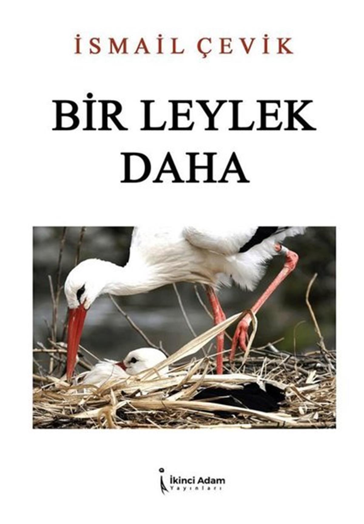 İsmail ÇevikTürk ŞiiriBir Leylek Daha