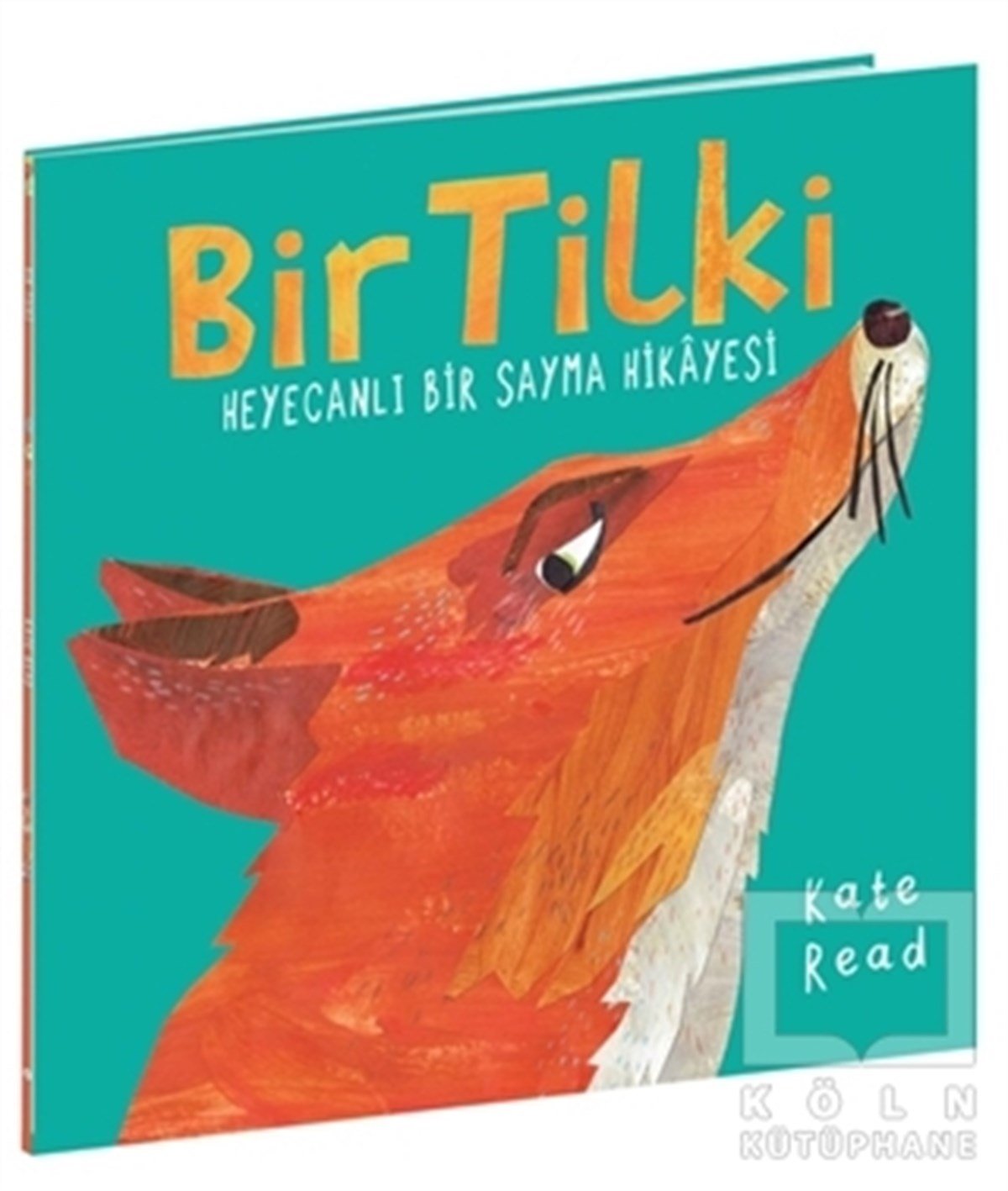 Kate ReadÇocuk Hikaye KitaplarıBir Tilki