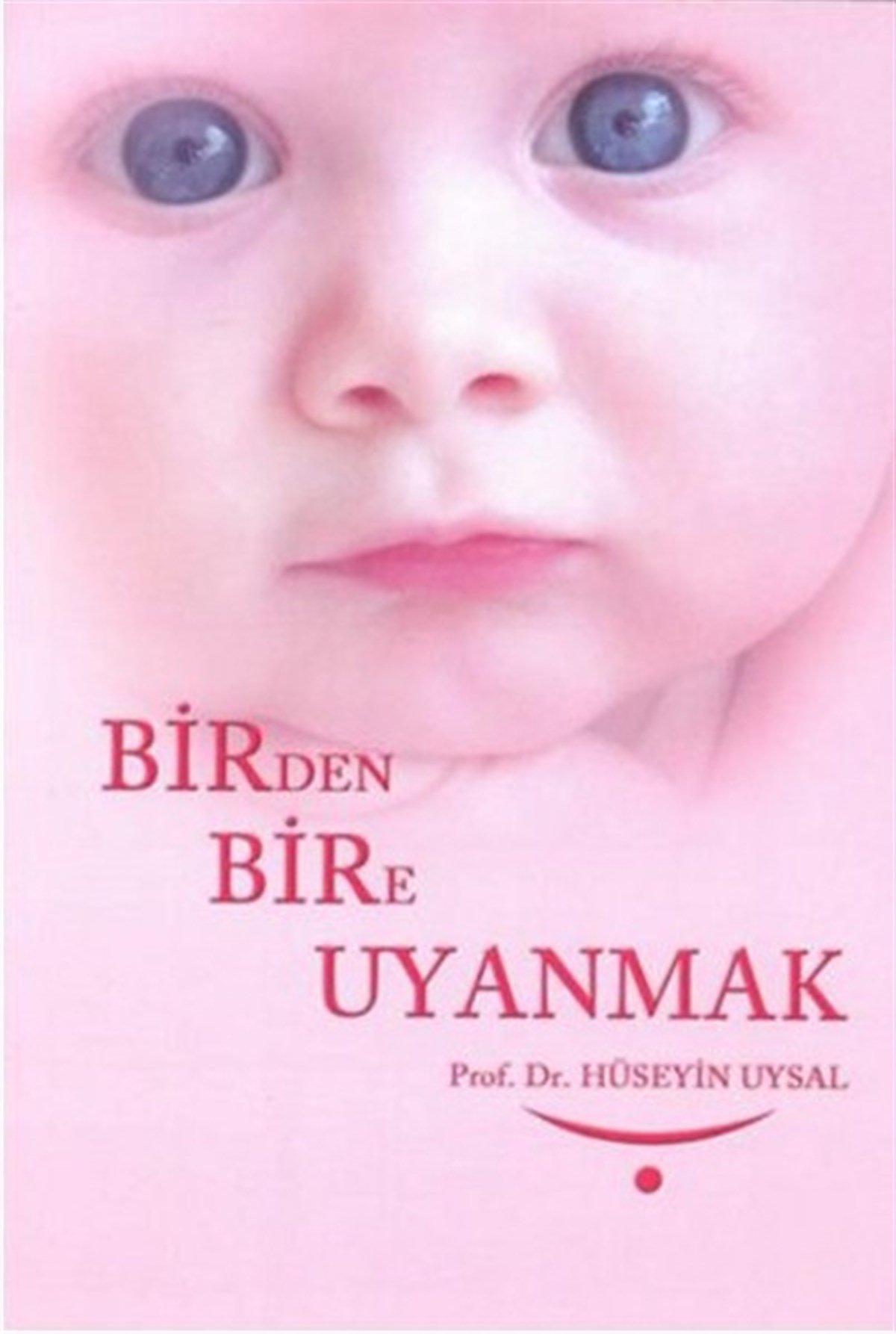 Hüseyin UysalIslamische BücherBirden Bire Uyanmak