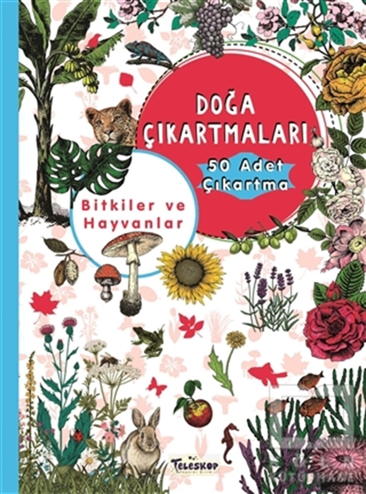 KolektifÇıkartmalı KitaplarBitkiler ve Hayvanlar Doğa Çıkartmaları