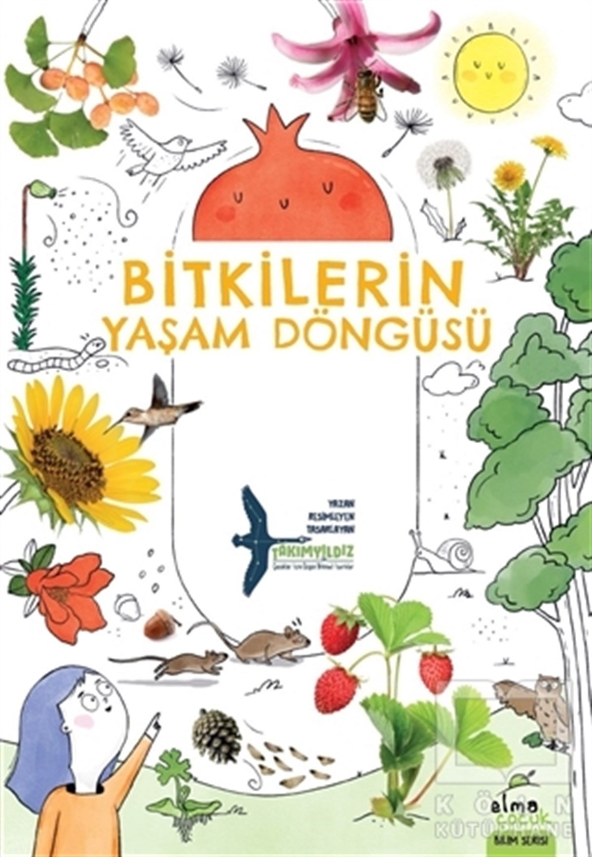 TakımyıldızBilimsel Çocuk KitaplarıBitkilerin Yaşam Döngüsü