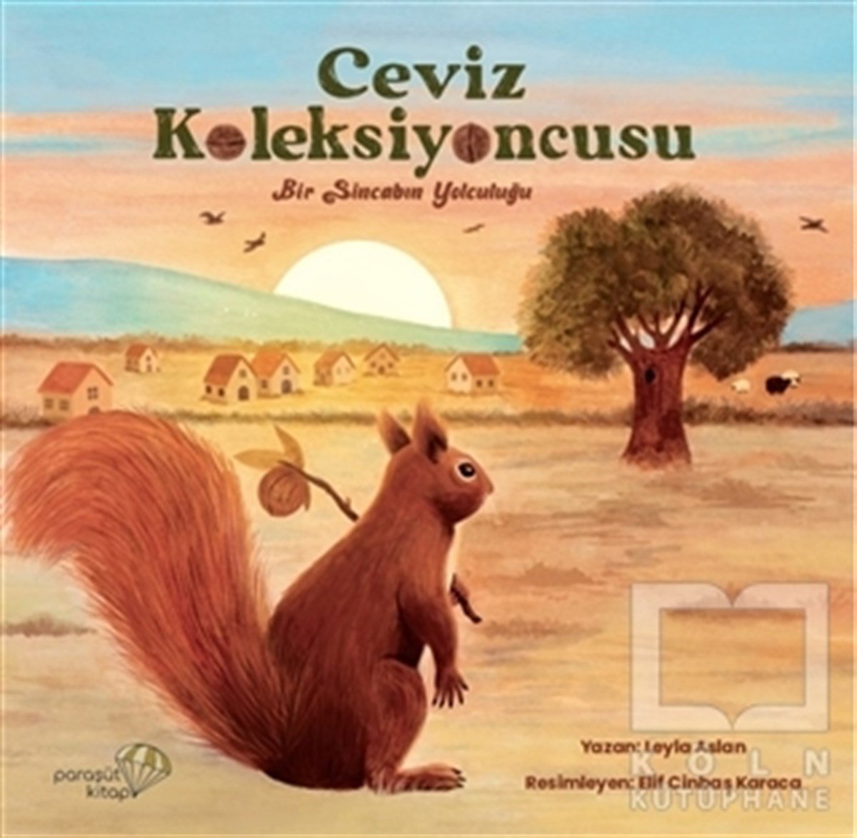 Leyla AslanÇocuk Hikaye KitaplarıCeviz Koleksiyoncusu