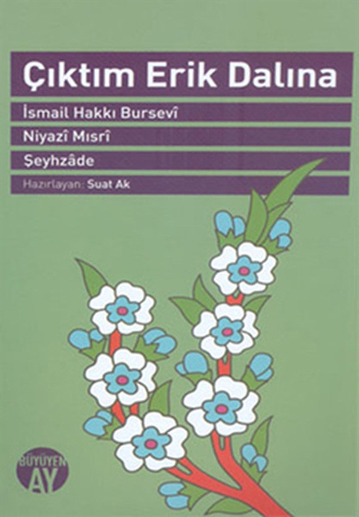 Suat AkTasavvuf KitaplarıÇıktım Erik Dalına
