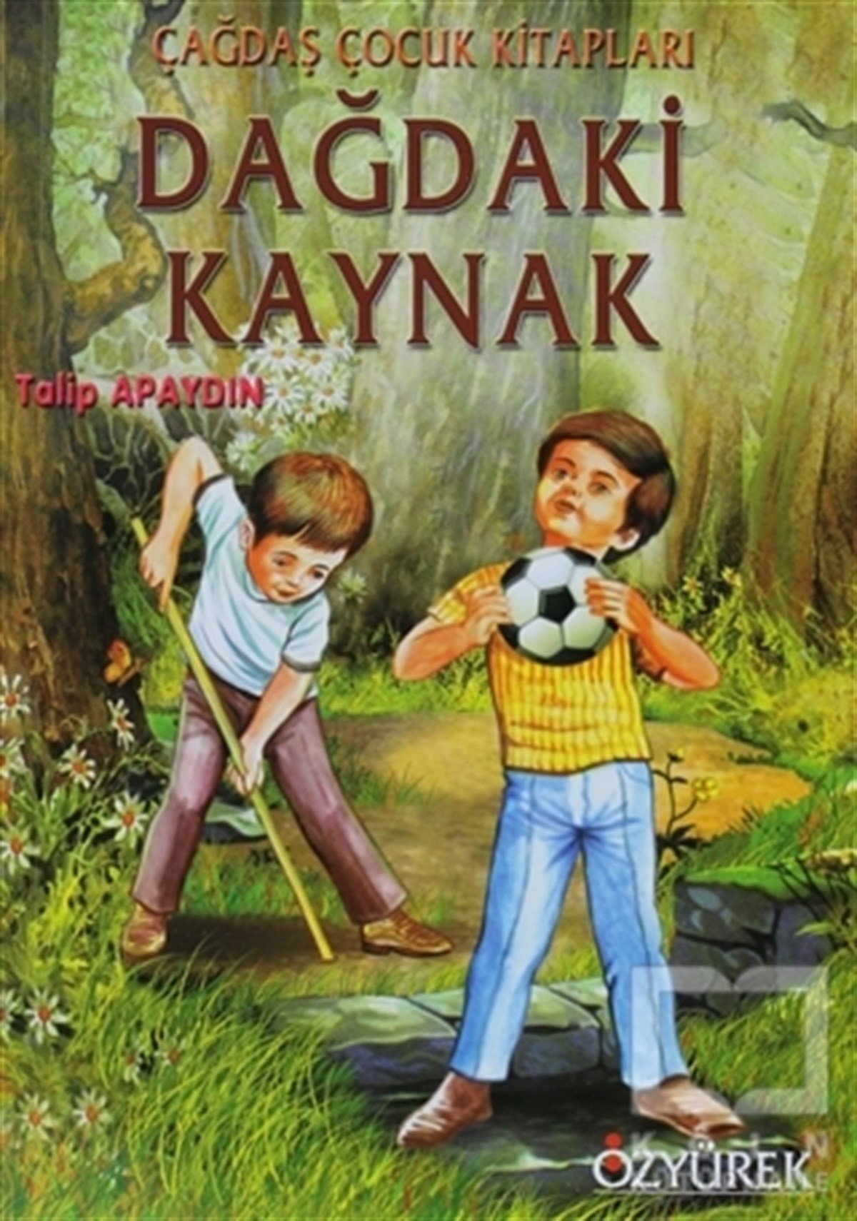 Talip ApaydınHikayelerDağdaki Kaynak