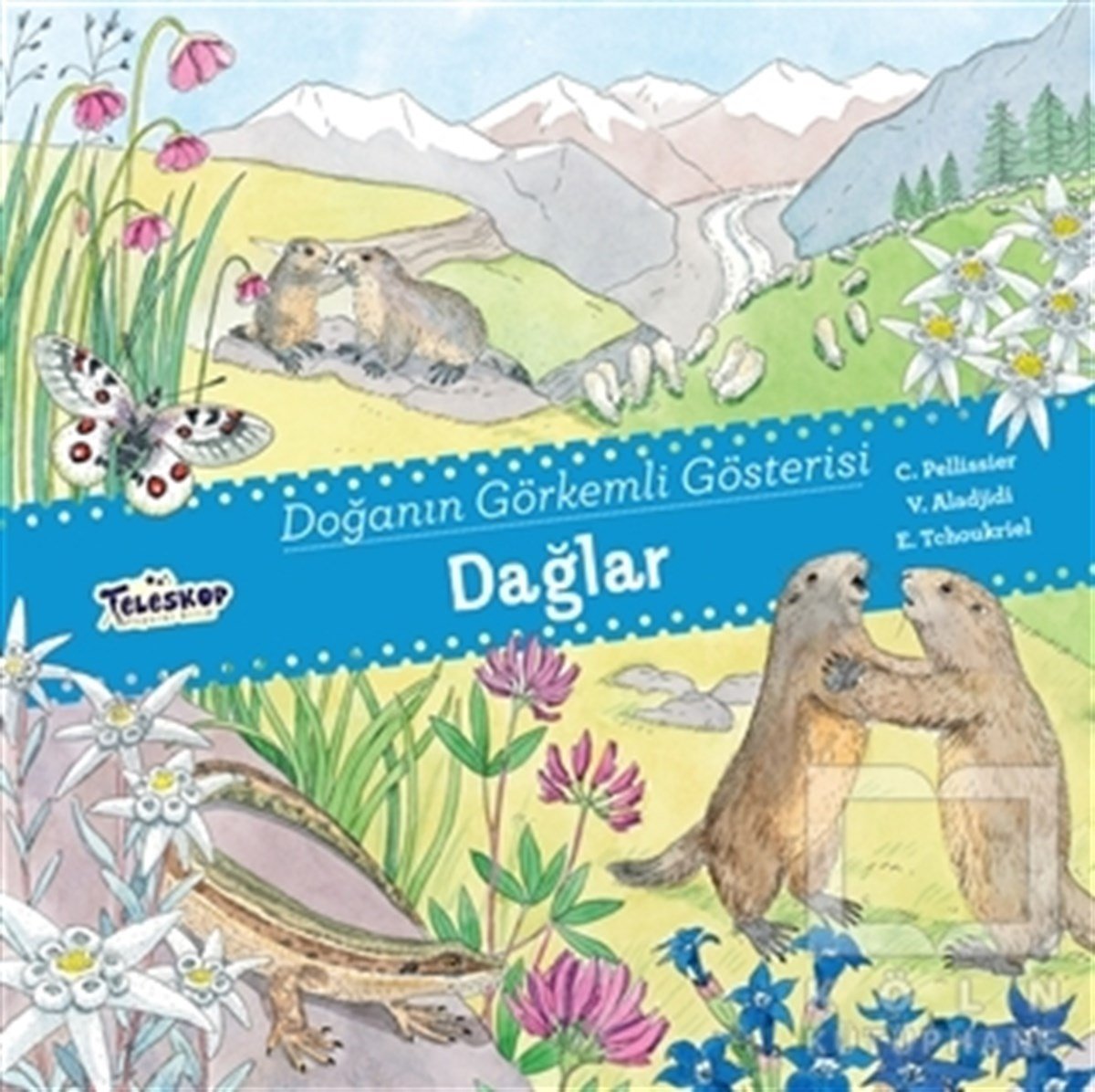 C. PellissierZeka GelişimiDağlar - Doğanın Görkemli Gösterisi