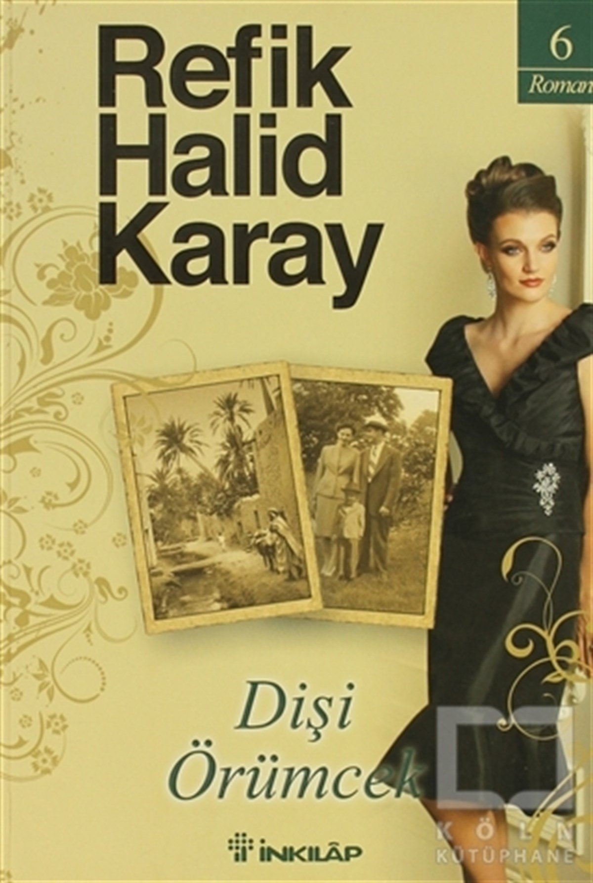 Dişi Örümcek