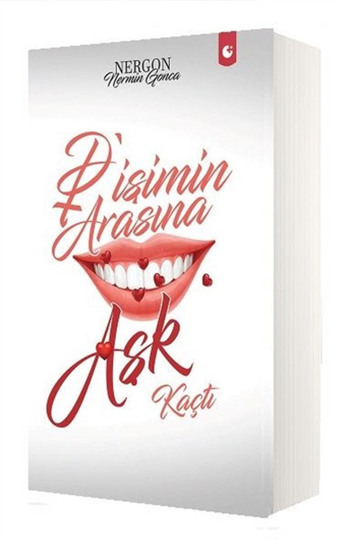 Nermin GoncaAnlatıDişimin Arasına Aşk Kaçtı
