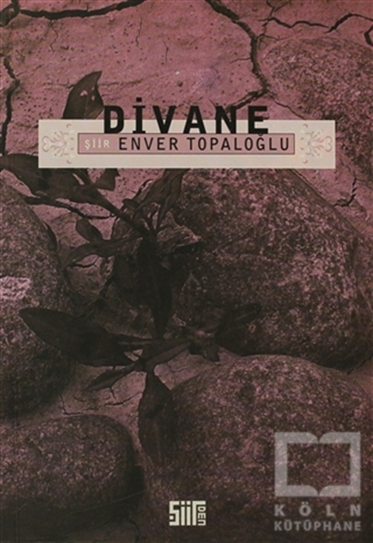 Divane