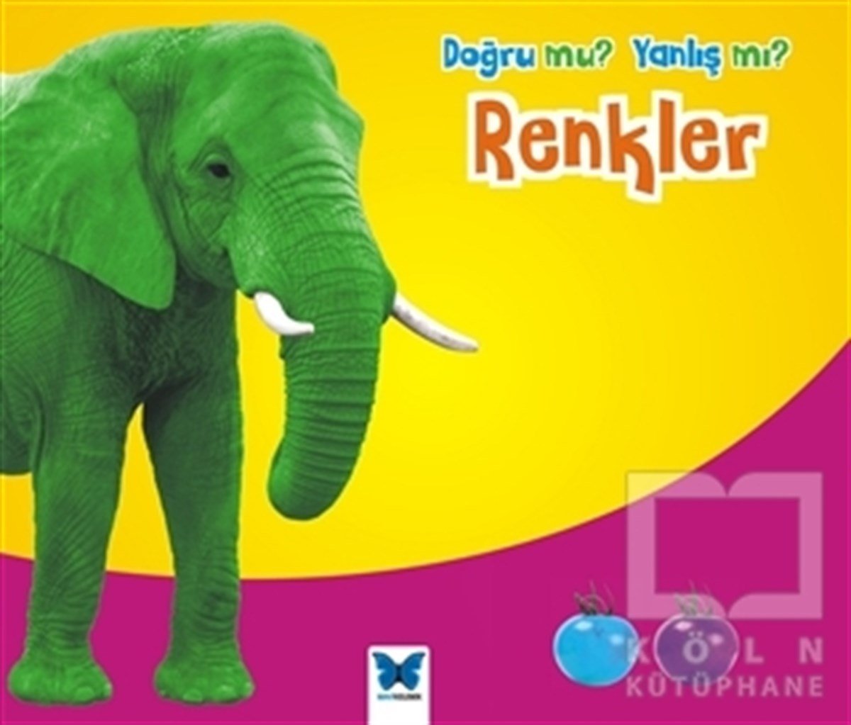 Daniel NunnOkul Öncesi Resimli KitaplarDoğru mu? Yanlış mı?: Renkler