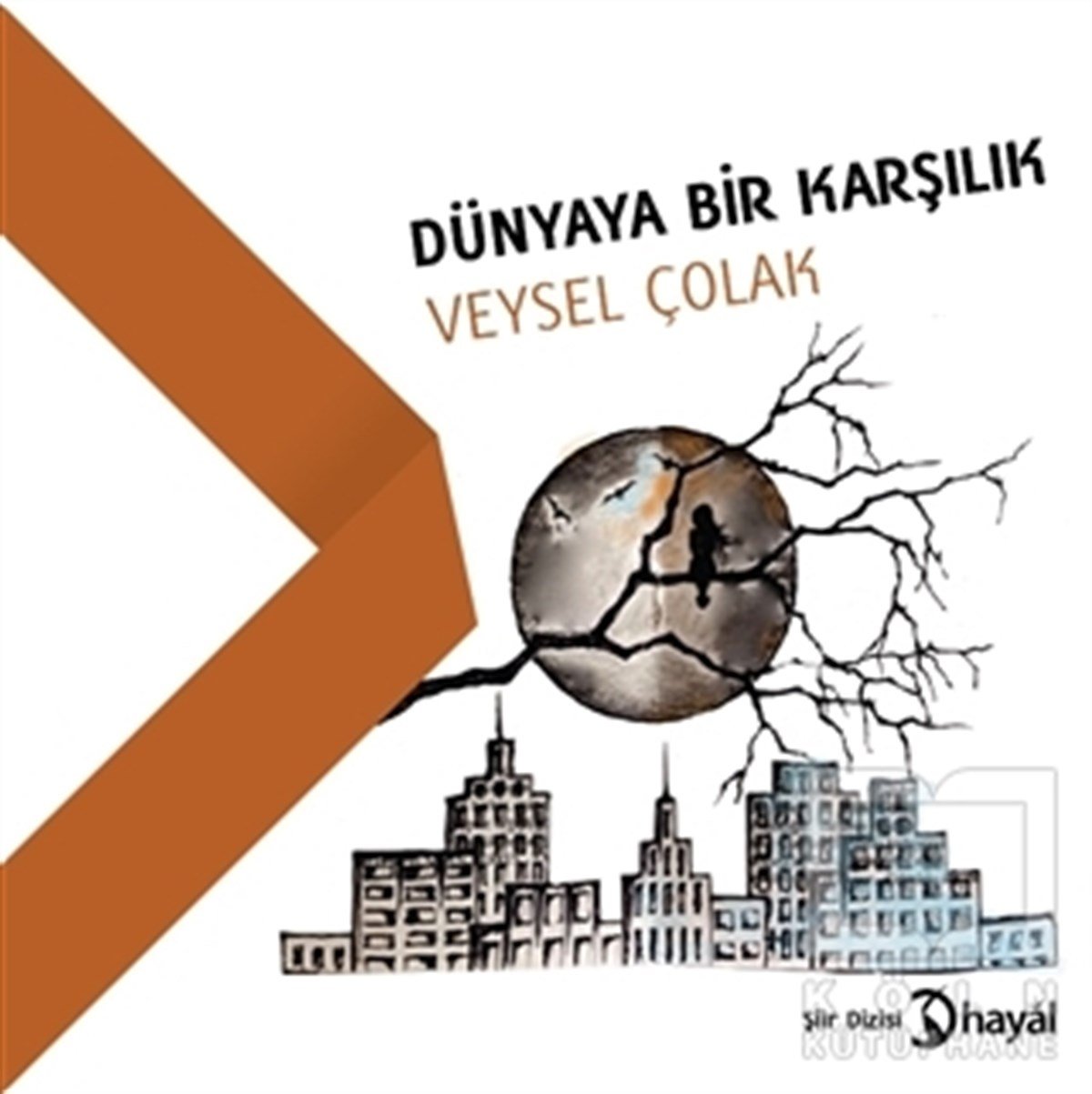 Veysel ÇolakŞiirDünyaya Bir Karşılık