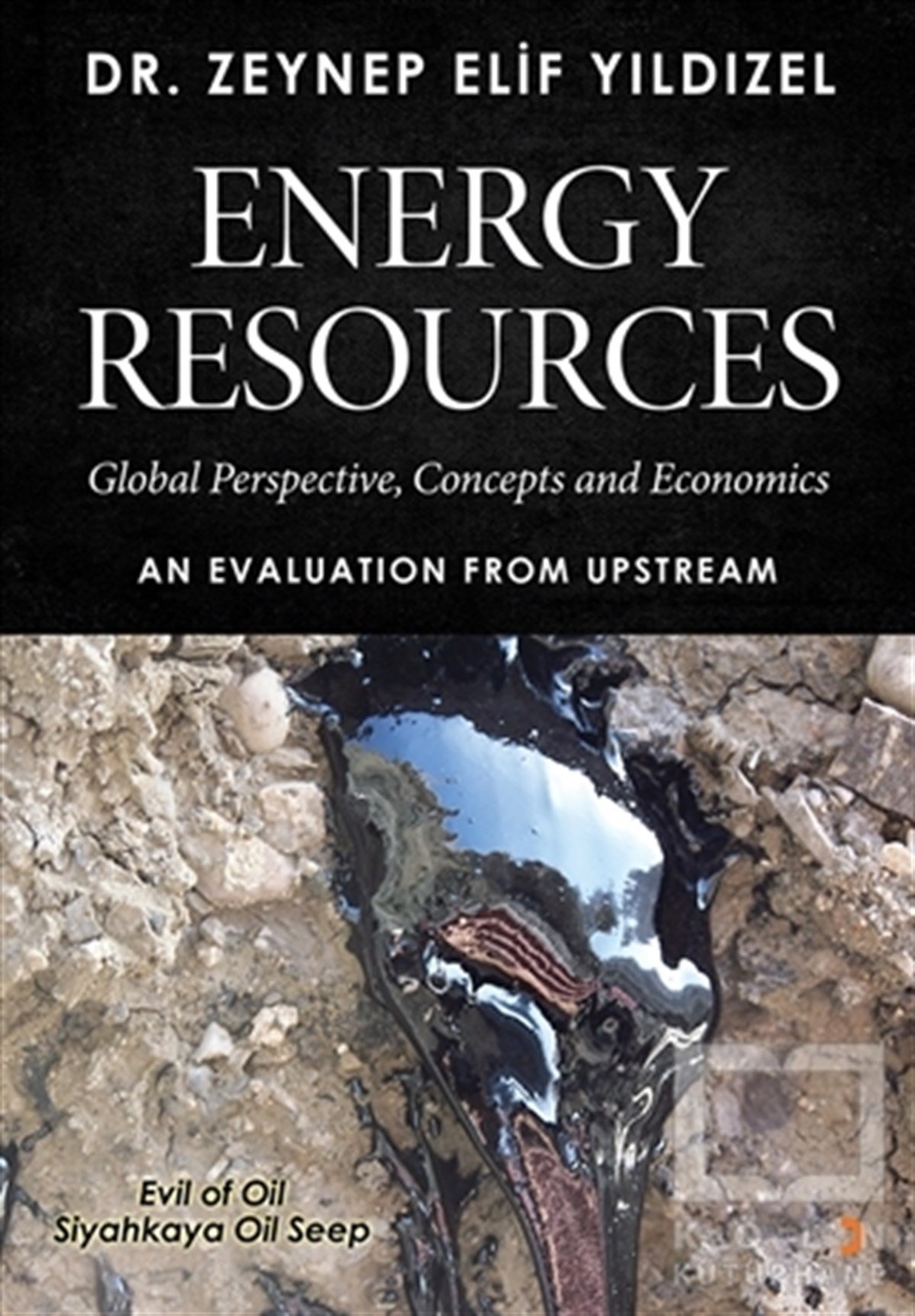 Zeynep Elif YıldızelYabancı Dilde KitaplarEnergy Resources