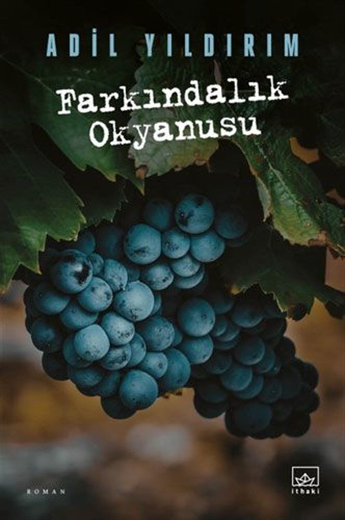 Adil YıldırımTürkiye RomanFarkındalık Okyanusu