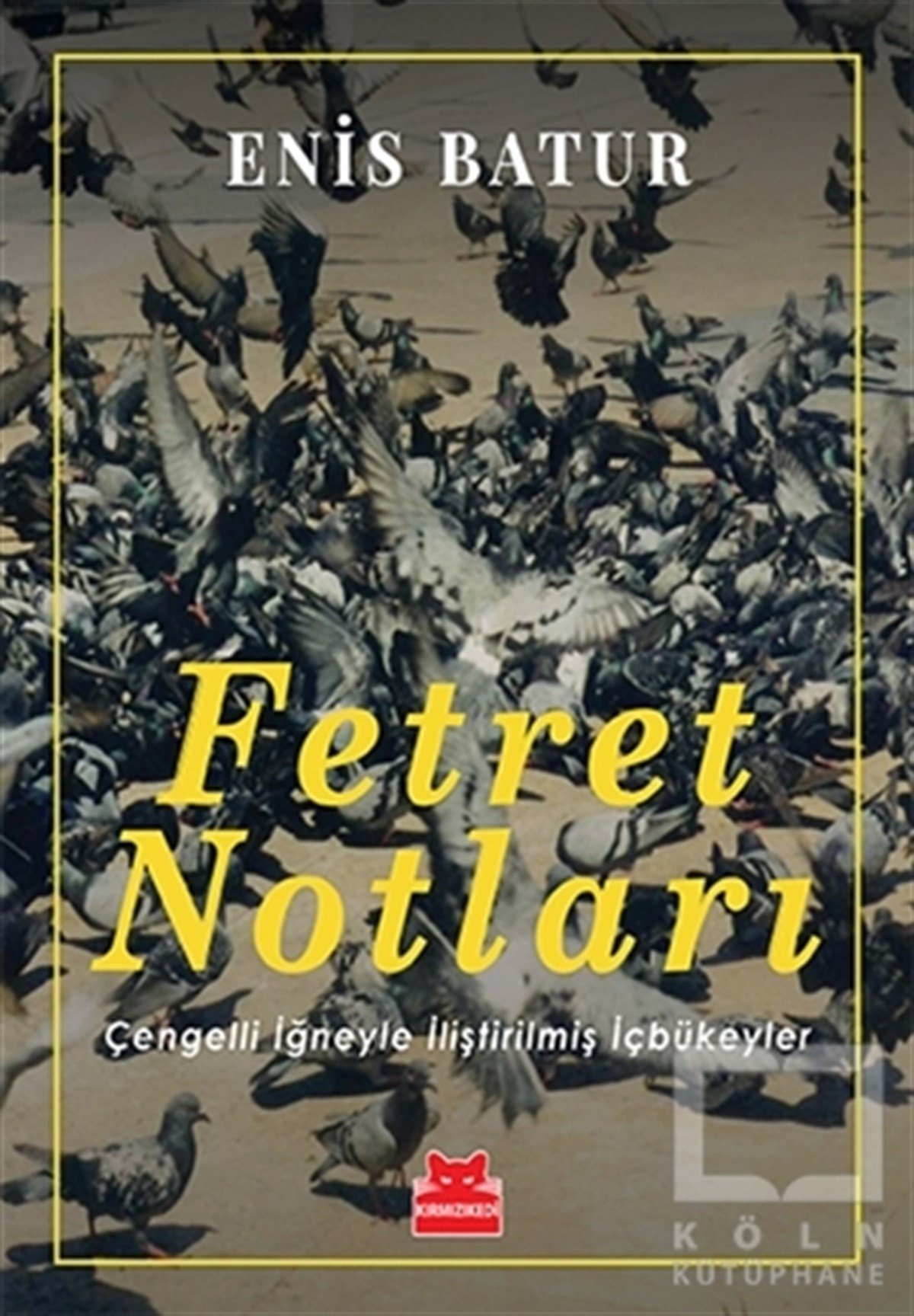 Enis BaturDenemeFetret Notları