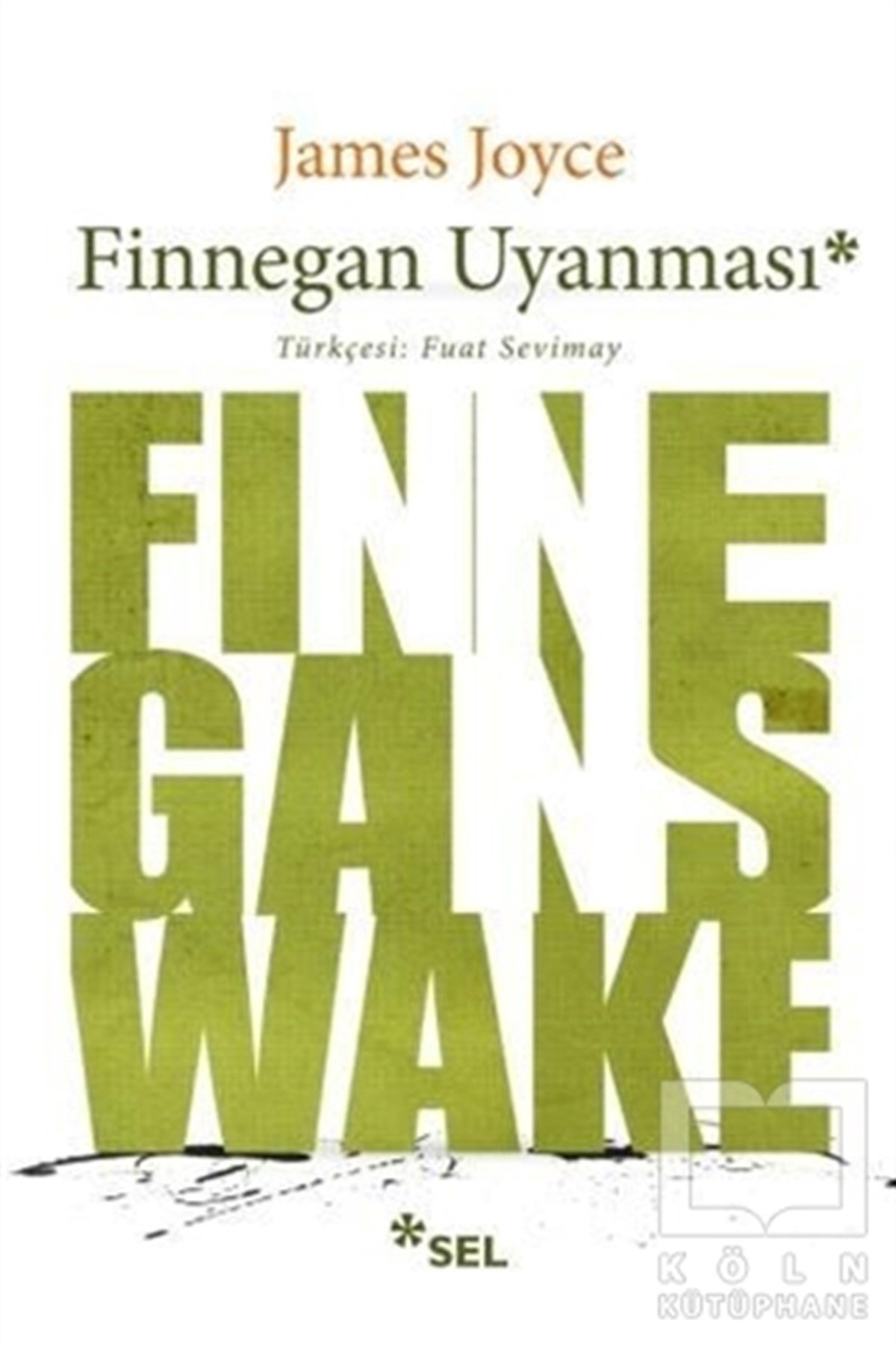 James JoyceRomanFinnegan Uyanması