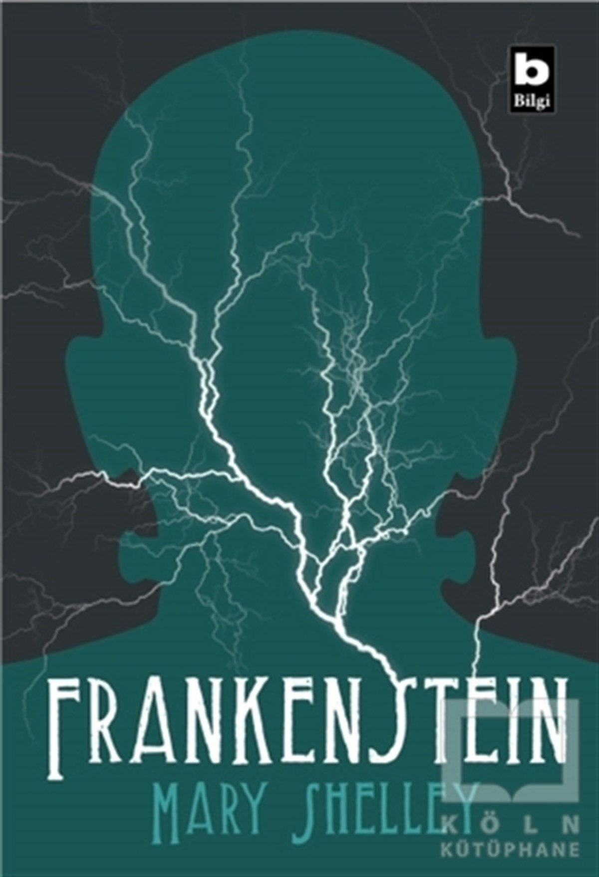 Mary ShelleyTürkçe RomanlarFrankenstein