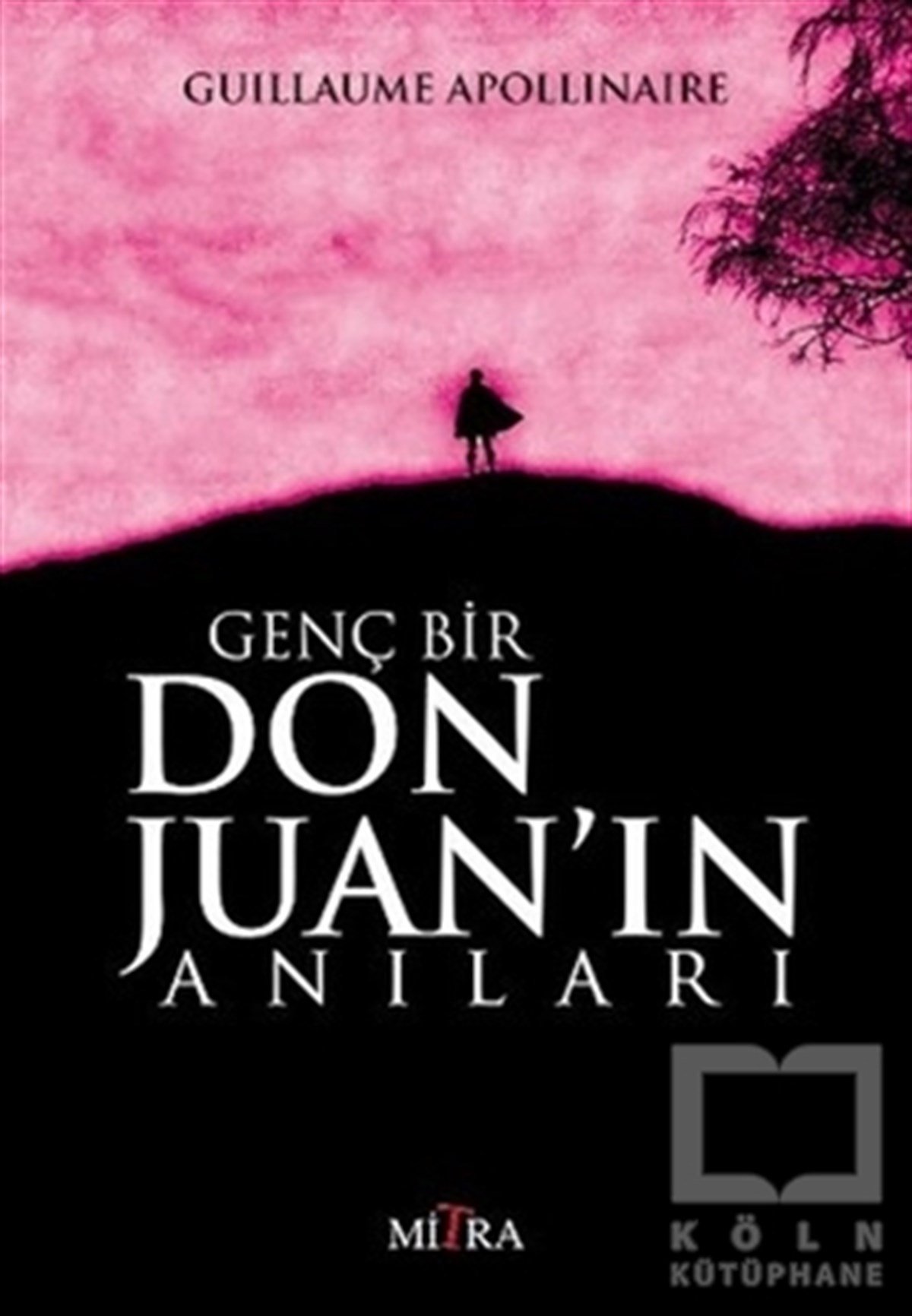 Guillaume ApollinaireRomanGenç Bir Don Juan'ın Anıları