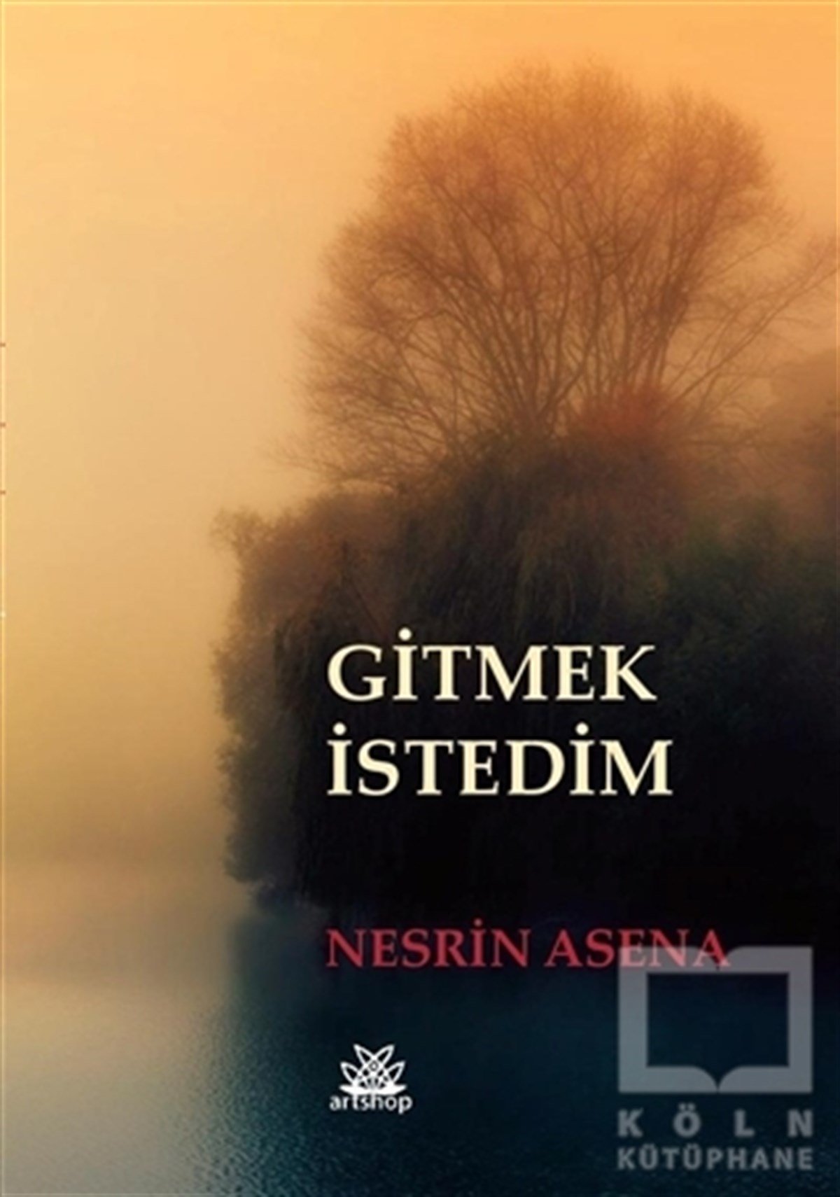 Nesrin AsenaŞiirGitmek İstedim