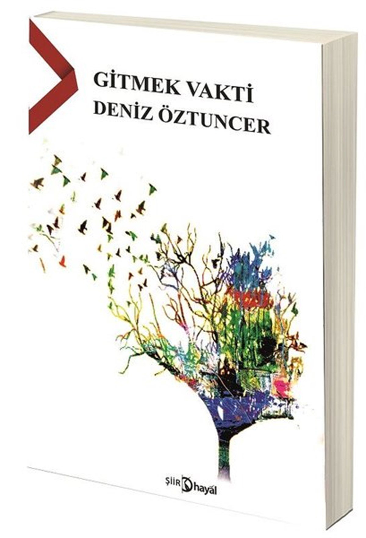 Deniz ÖztuncerTürk ŞiiriGitmek Vakti