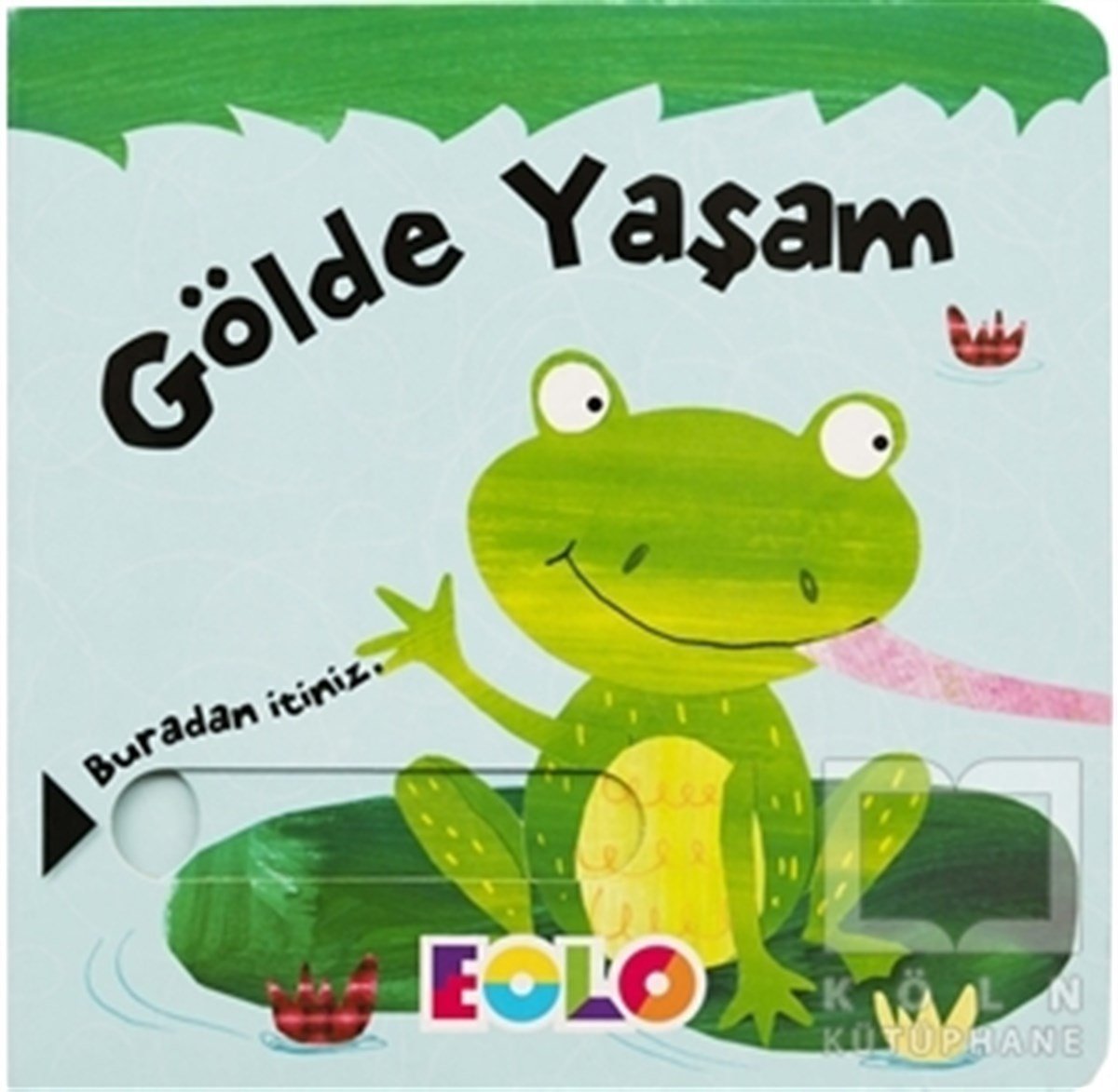 Rachael ElliotÇocuk Hikaye KitaplarıGölde Yaşam