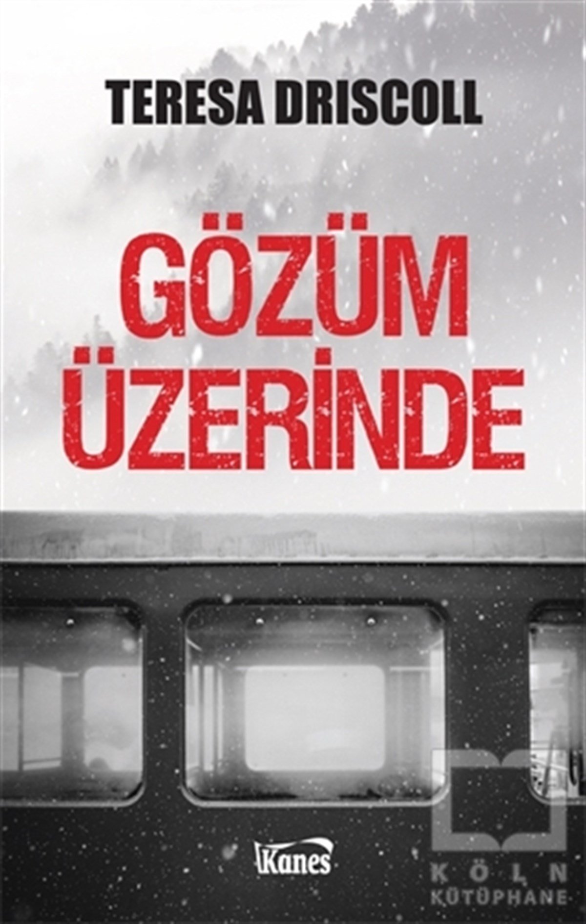 Teresa DriscollPolisiye Romanlar & Cinayet RomanlarıGözüm Üzerinde