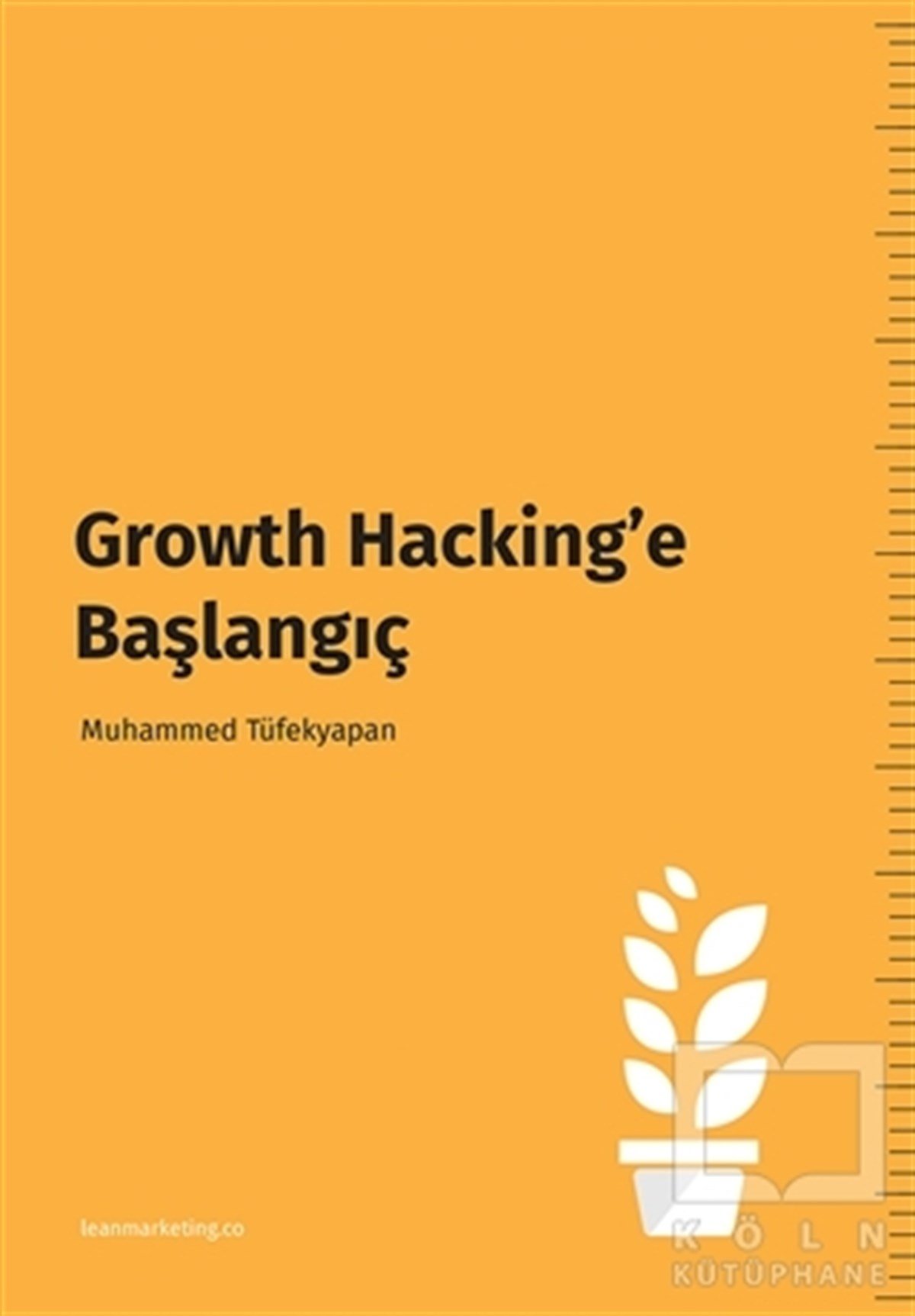 Muhammed TüfekyapanPazarlama, Satış, ReklamGrowth Hacking’e Başlangıç