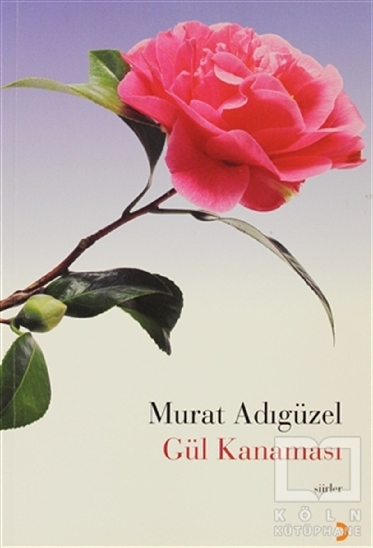 Murat AdıgüzelŞiirGül Kanaması