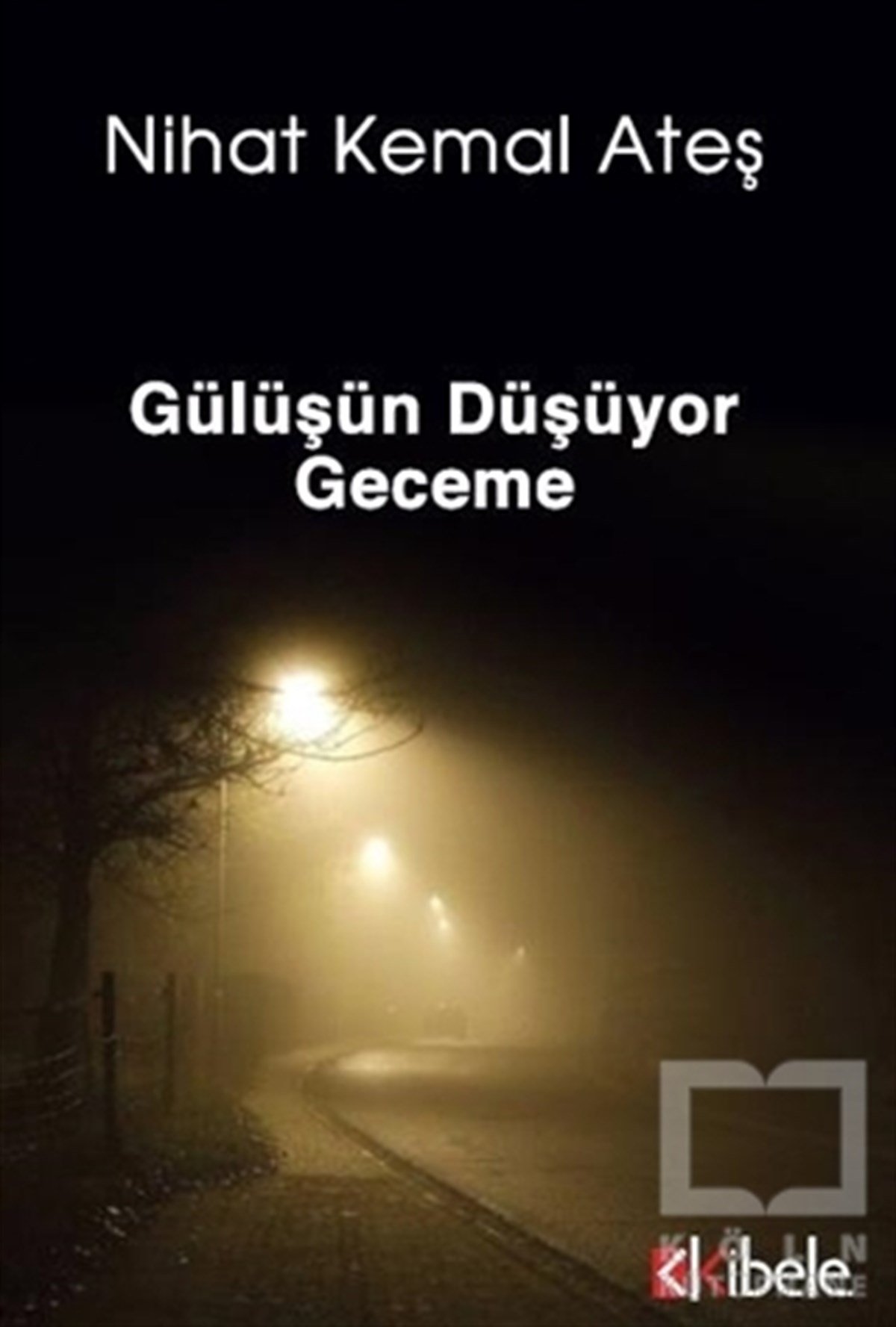 Nihat Kemal AteşŞiirGülüşün Düşüyor Geceme