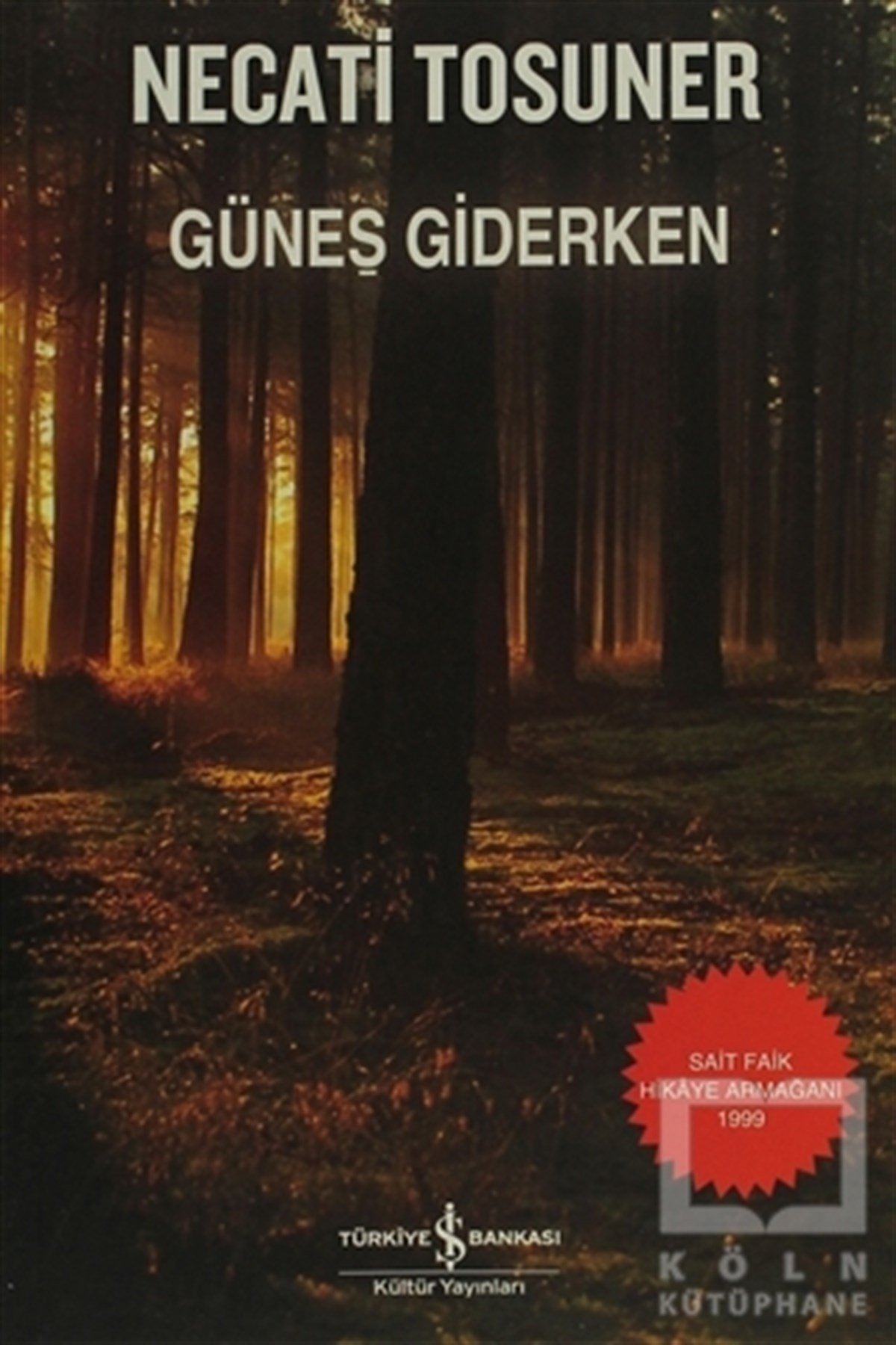 Necati TosunerTürk Edebiyatı KitaplarıGüneş Giderken