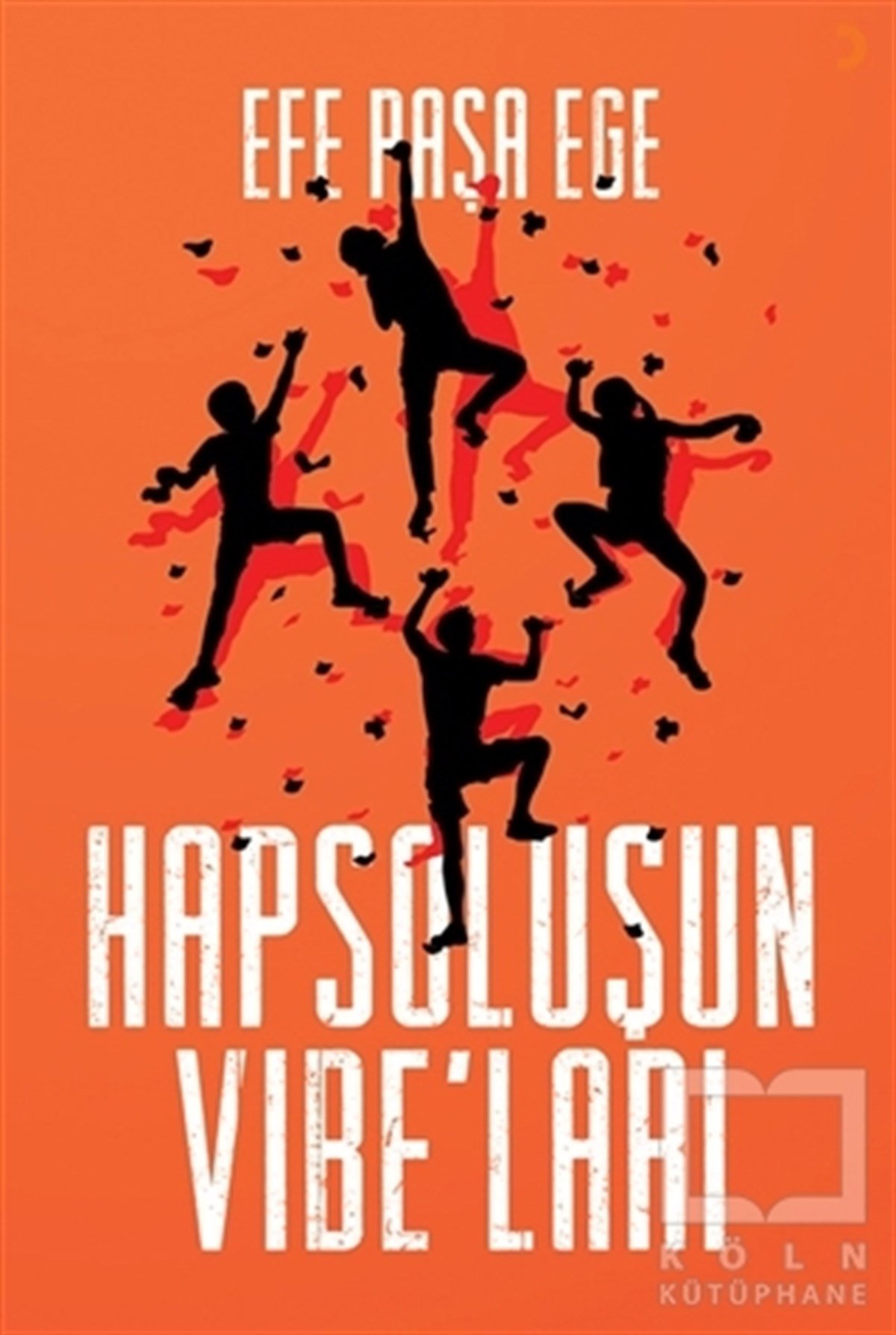 Efe Paşa EgeTürkçe RomanlarHapsoluşun Vibe’ları