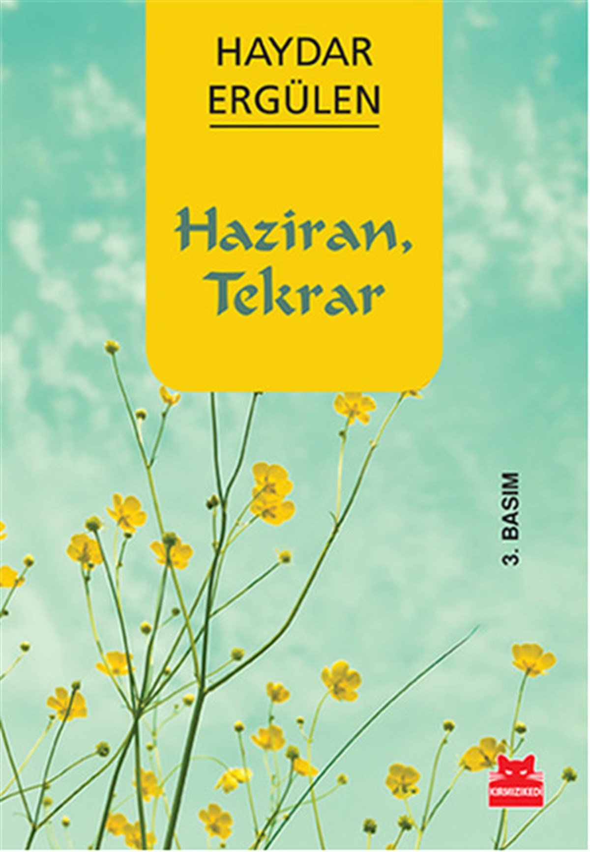 Haydar ErgülenDeneme KitaplarıHaziran Tekrar
