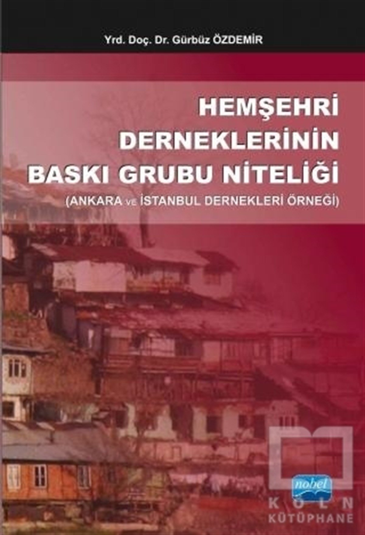 Gürbüz ÖzdemirSivil Toplum KuruluşlarıHemşehri Derneklerinin Baskı Grubu Niteliği