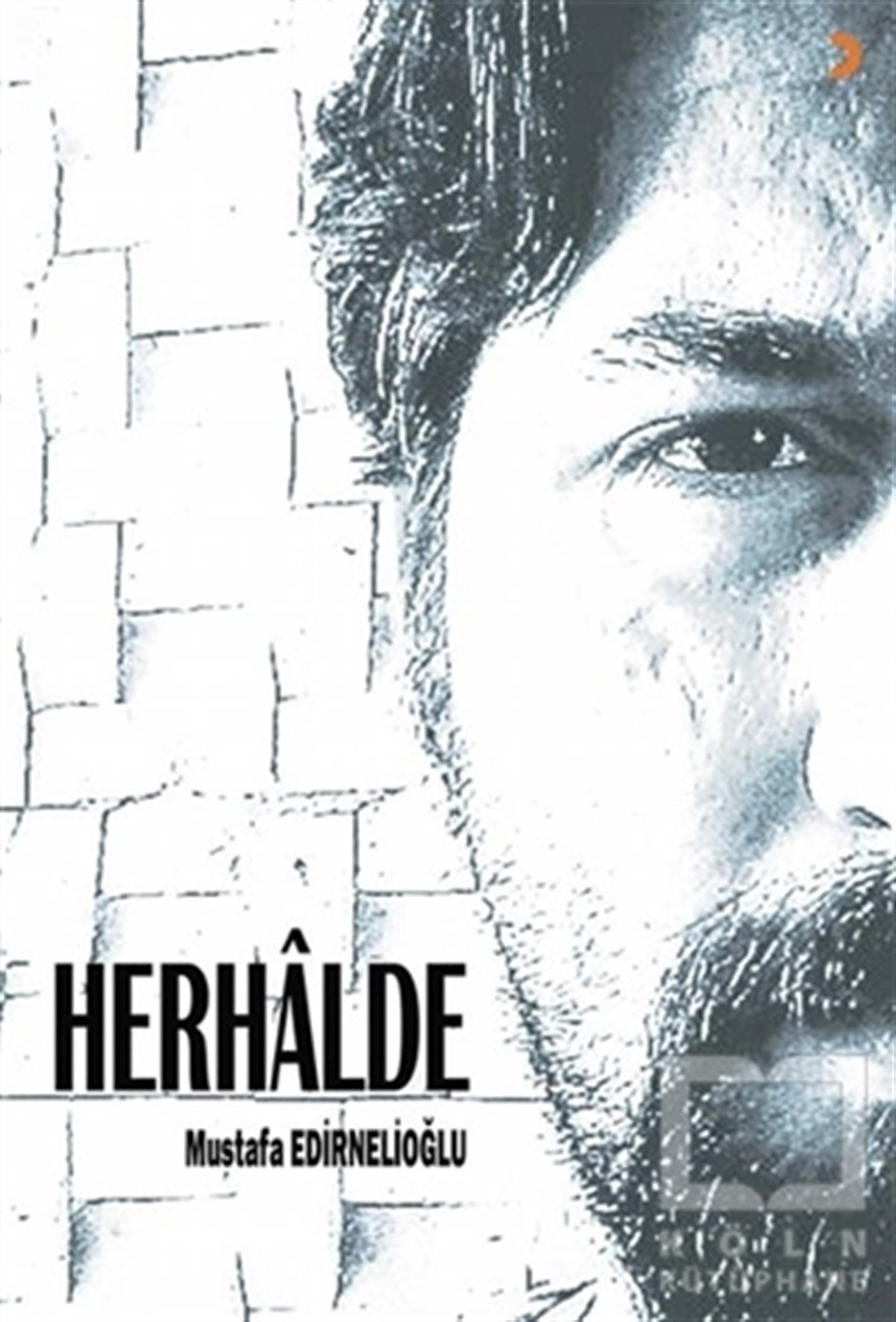 Mustafa EdirnelioğluHikaye (Öykü) KitaplarıHerhalde