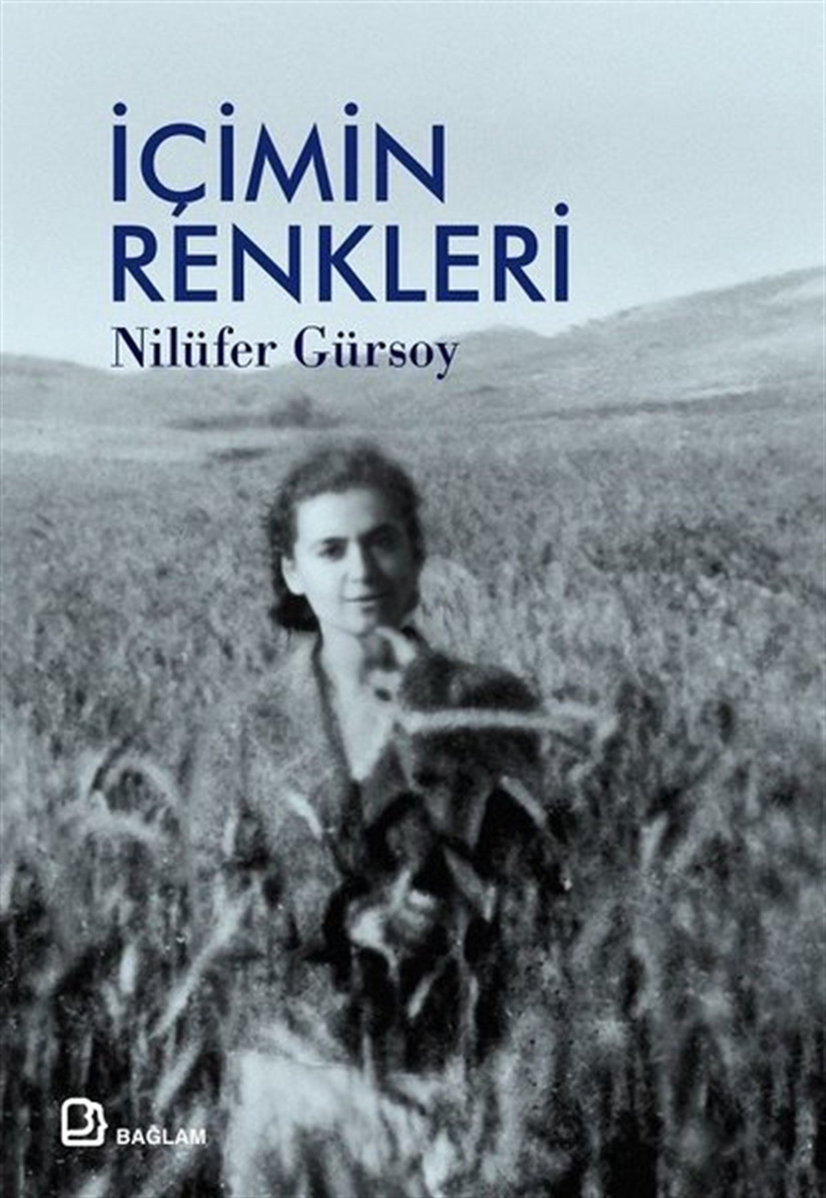 Nilüfer GürsoyTürk Şiiriİçimin Renkleri