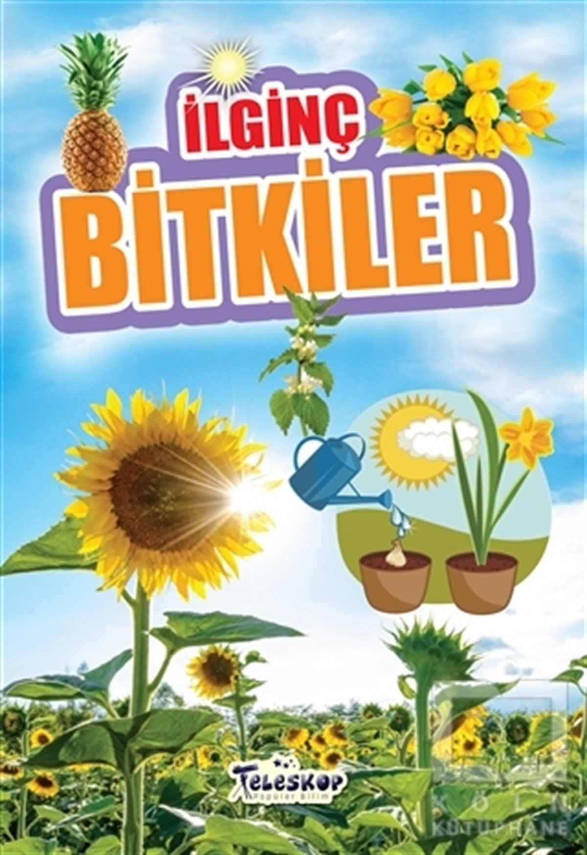 Muhammet Cüneyt ÖzcanBilimsel Çocuk Kitaplarıİlginç Bitkiler