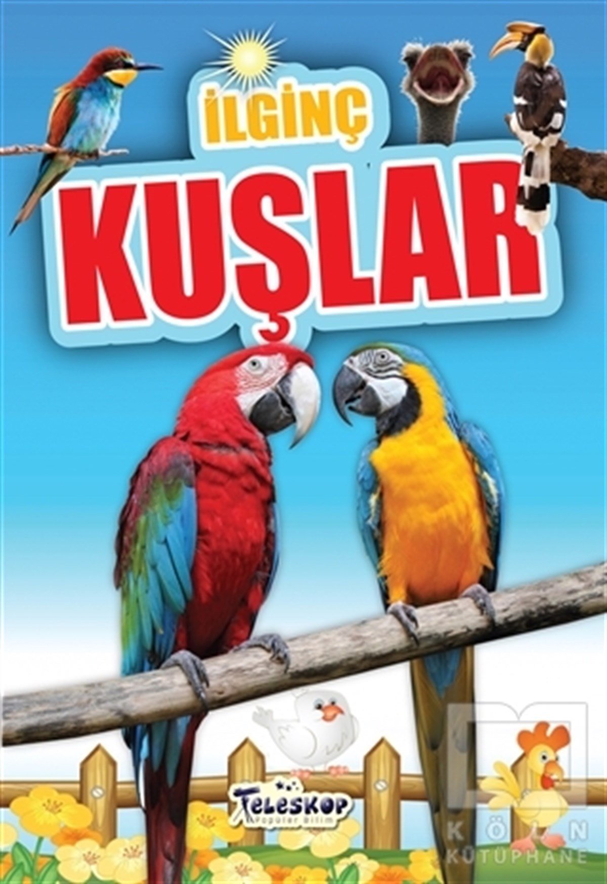 Muhammet Cüneyt ÖzcanBilimsel Çocuk Kitaplarıİlginç Kuşlar