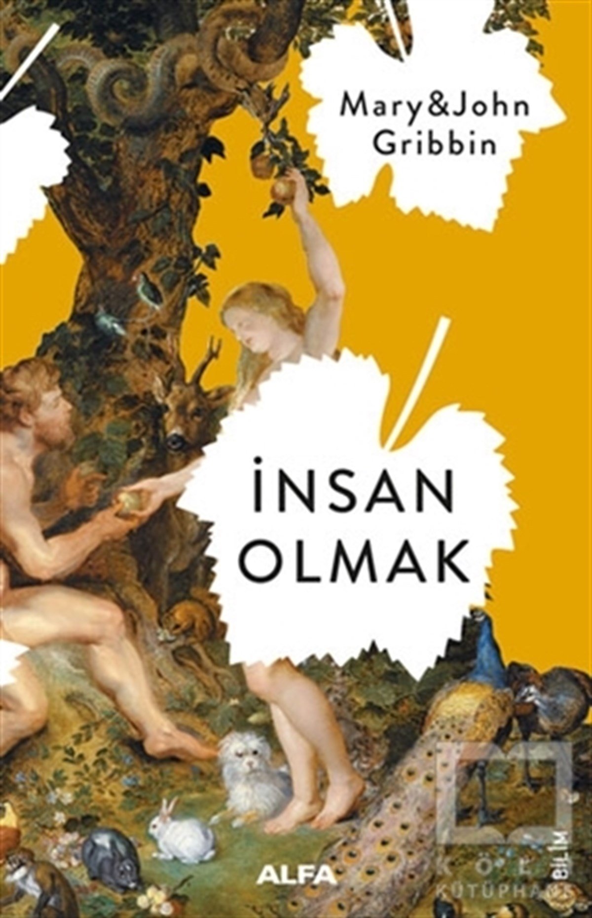 John GribbinPopüler Bilimİnsan Olmak